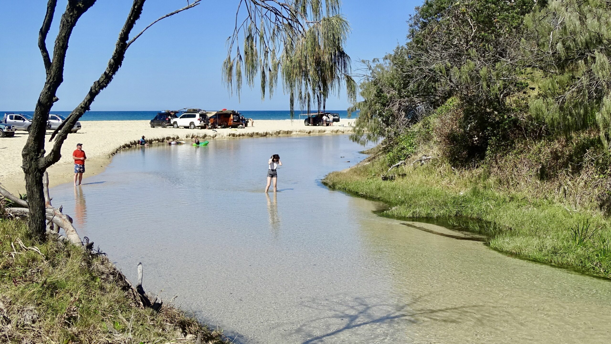 Kokomo at Kingfisher Bay "get There Fast Then Take it Slow!"