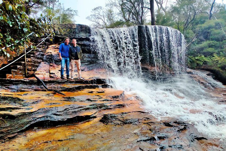 PRIVATE Deluxe Blue Mountains Waterfalls, Bushwalks & Koalas Late Start Tour