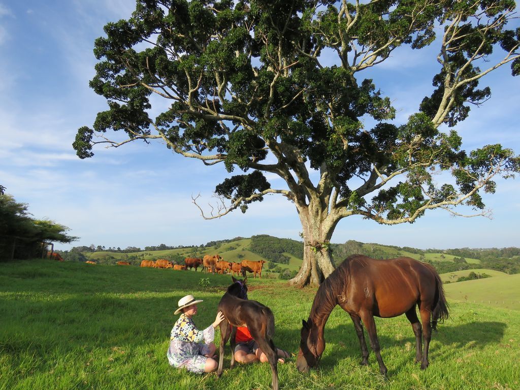 Maleny Springs Farm - Luxurious House on 100 Acres