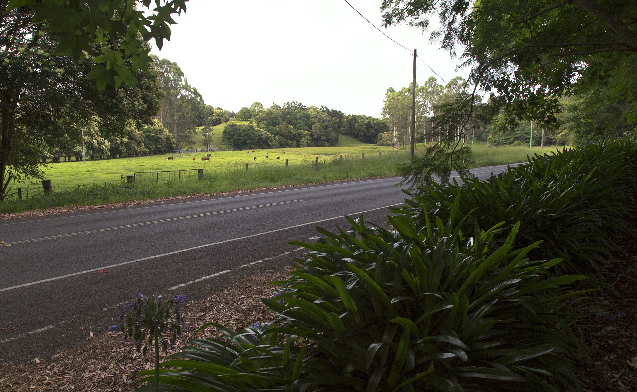 Where Hinterland birdsong welcomes you