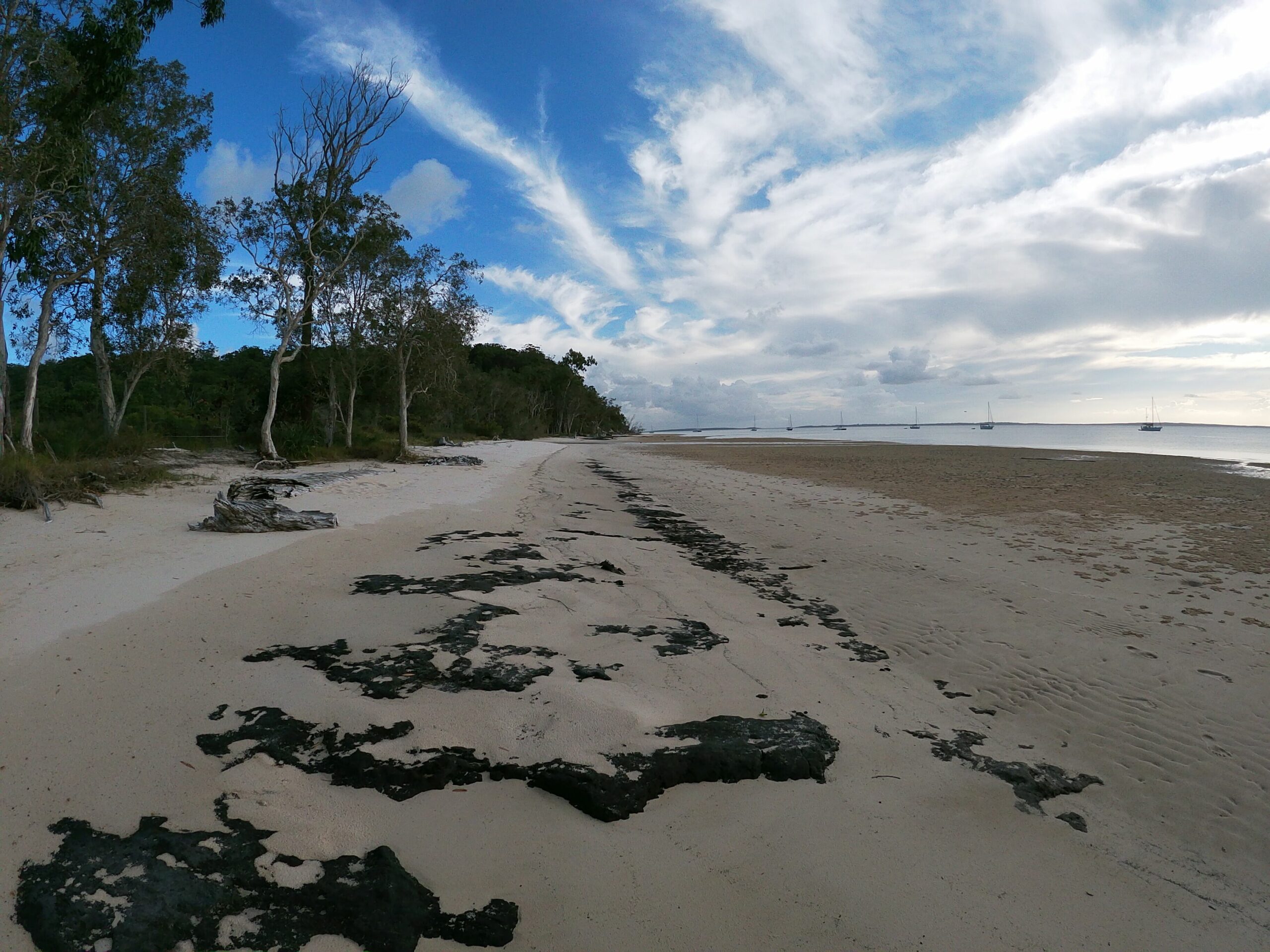 Kingfisher Bay Resort Precinct -fraser Island Accommodation Water & Sunset Views