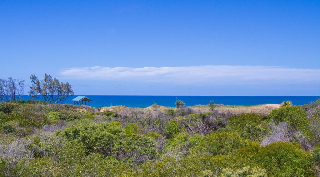 Cast A Wave – Agnes Water, QLD