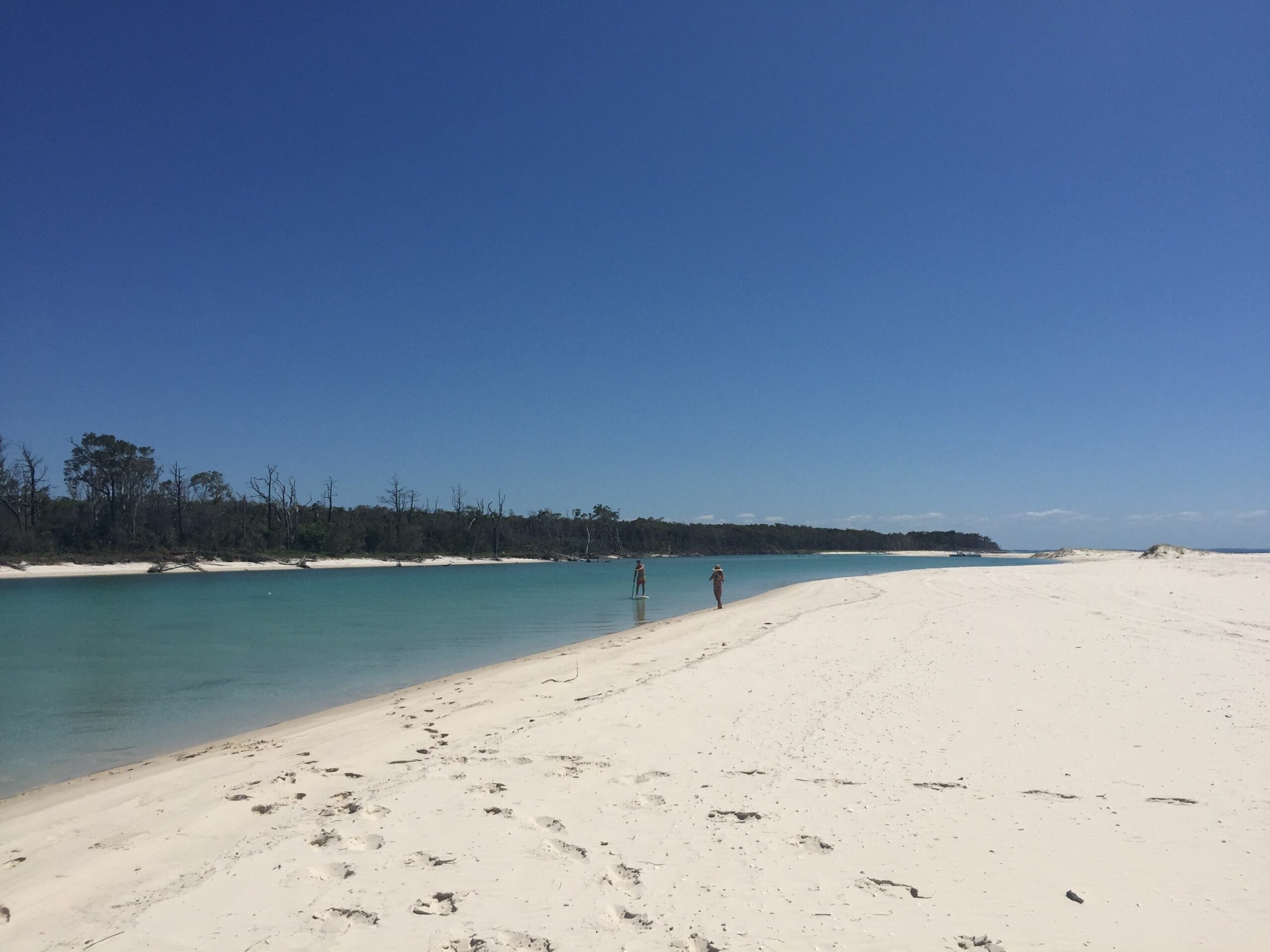 Paradise on Fraser Island, Satinay 631,  Kingfisher Bay. Air conditioned.