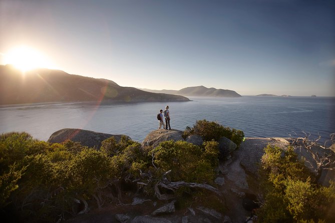 Wilsons Promontory Walks and Wildlife Tour From Melbourne