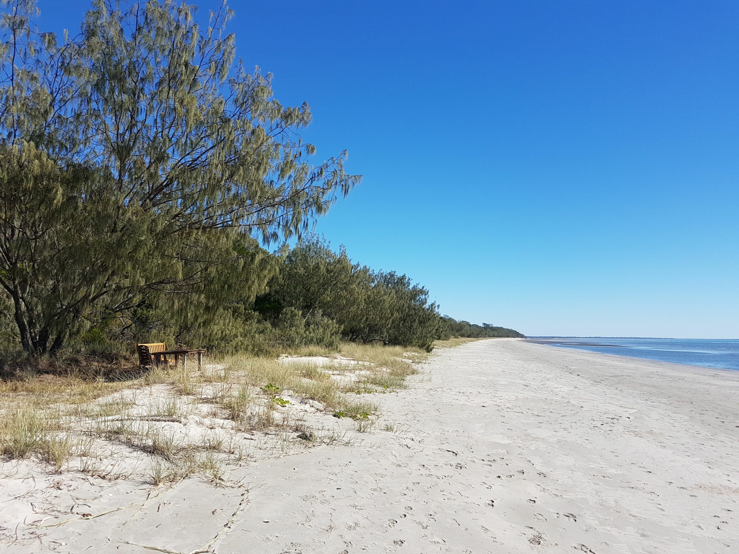 Beachfront pet and Wheelchair Friendly House