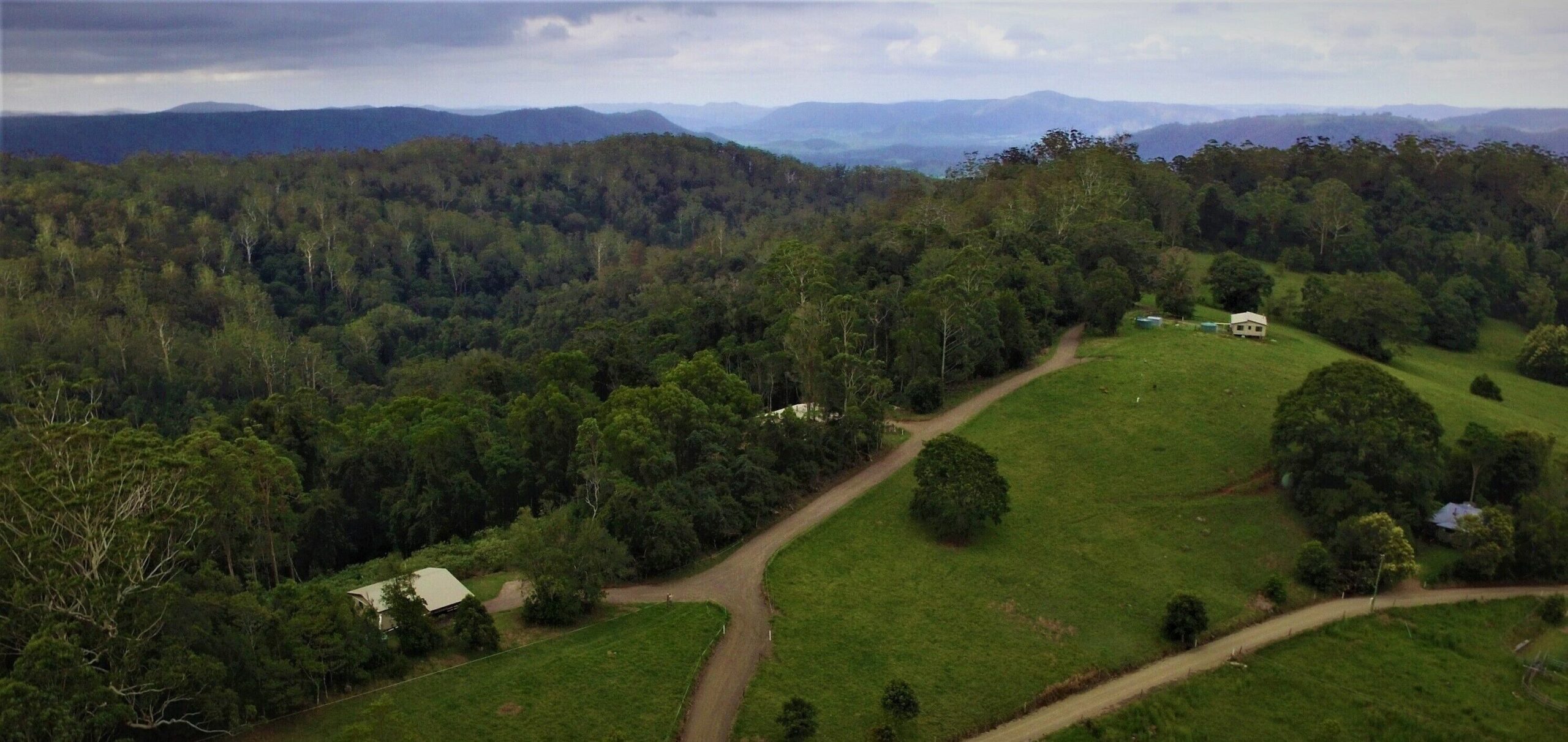 Whipbird Cabin - Waterfalls, Walking Tracks, Rainforest, Farming, Pooch Allowed