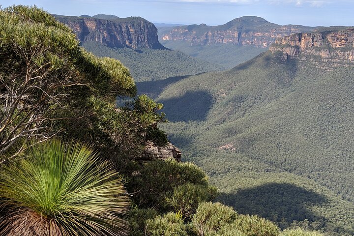Blue Mountains Nature and Wildlife Day Tour from Sydney