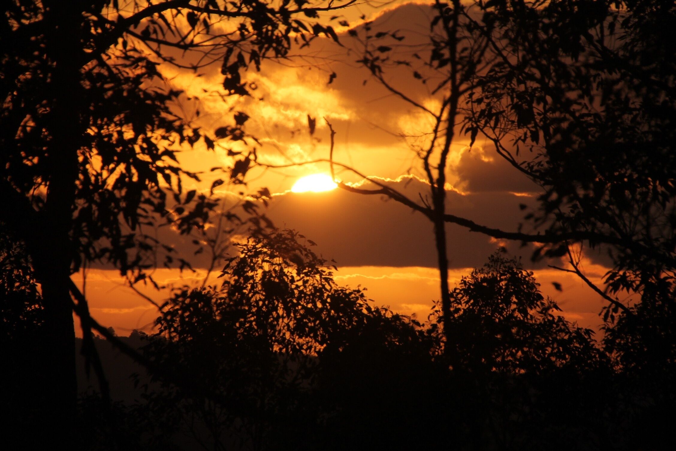 Escape to Hunchy, Private Setting in the Sunshine Coast Hinterland