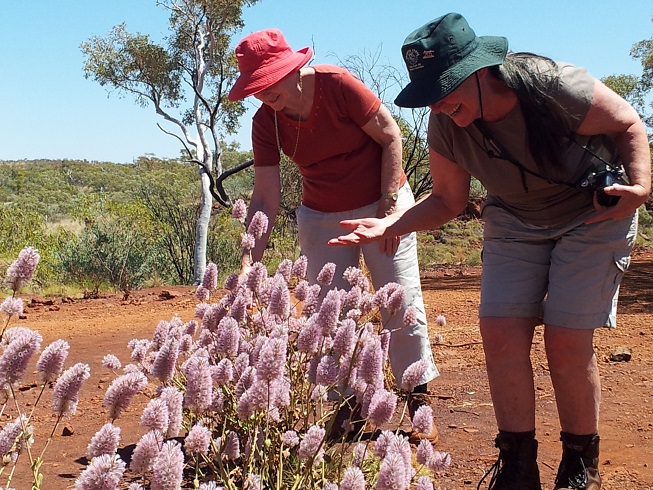 Pilbara Karratha Karijini Ningaloo Tours