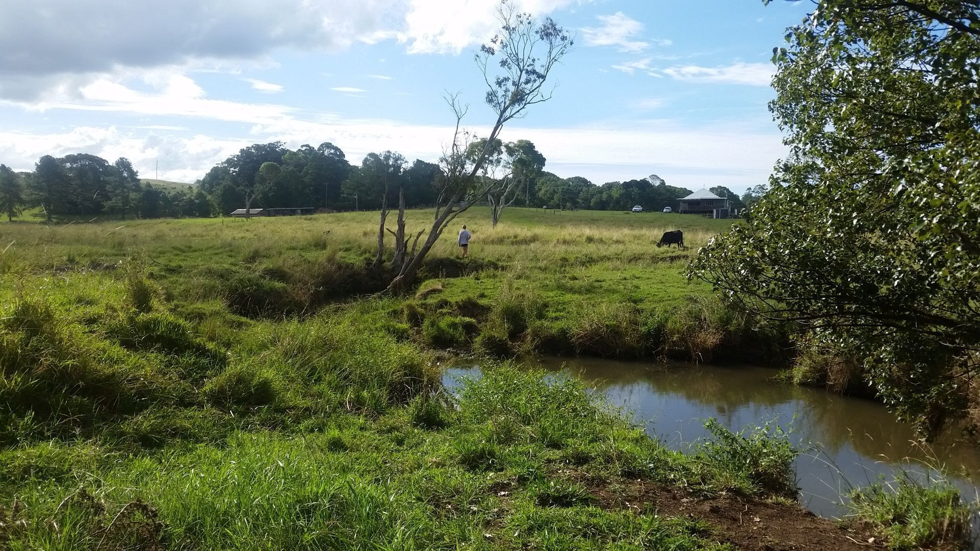 Byron Bay Hinterland-Teak Tree Farm