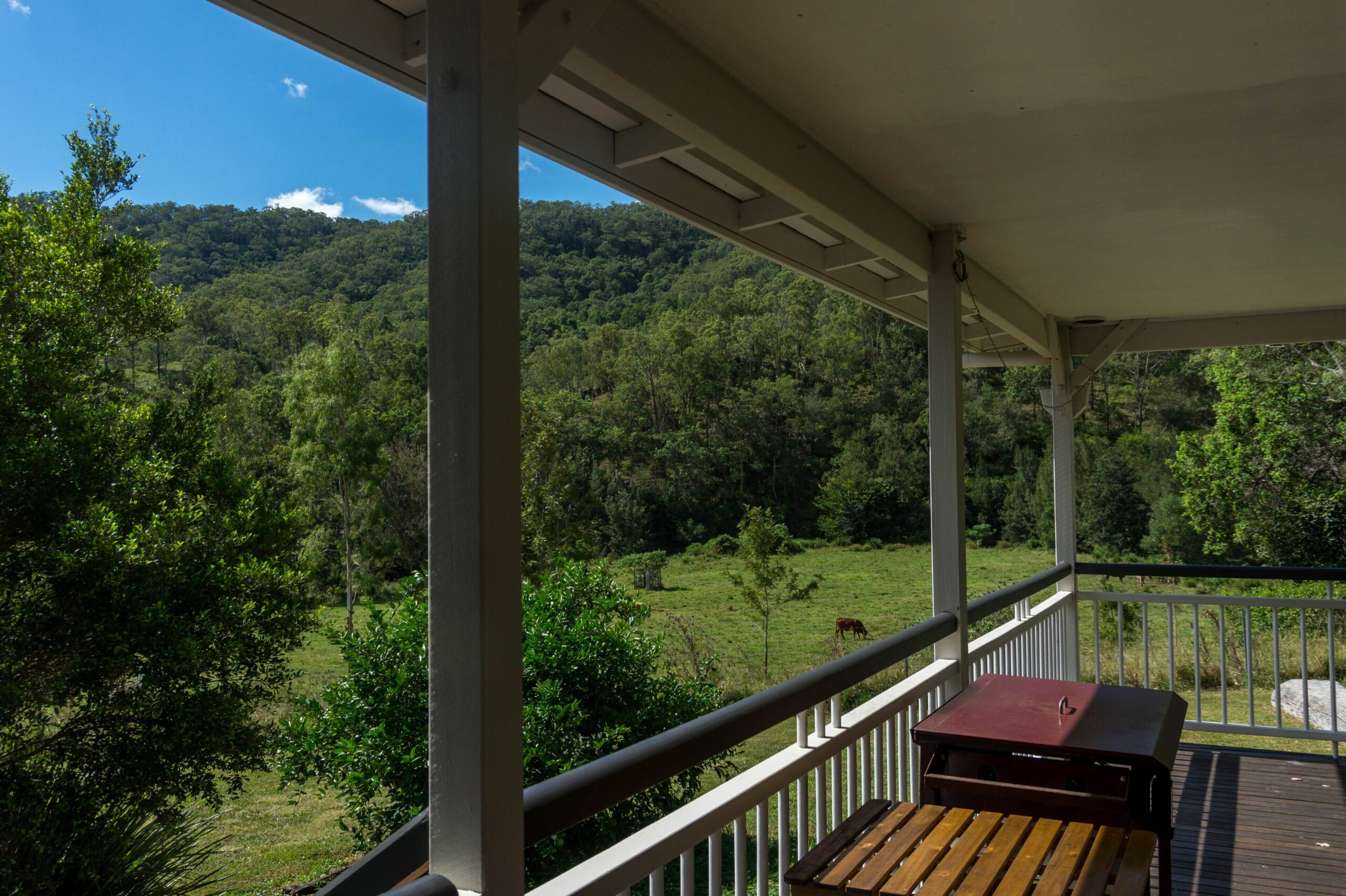 Eighteen Mile Cottage - river access with breathtaking views!