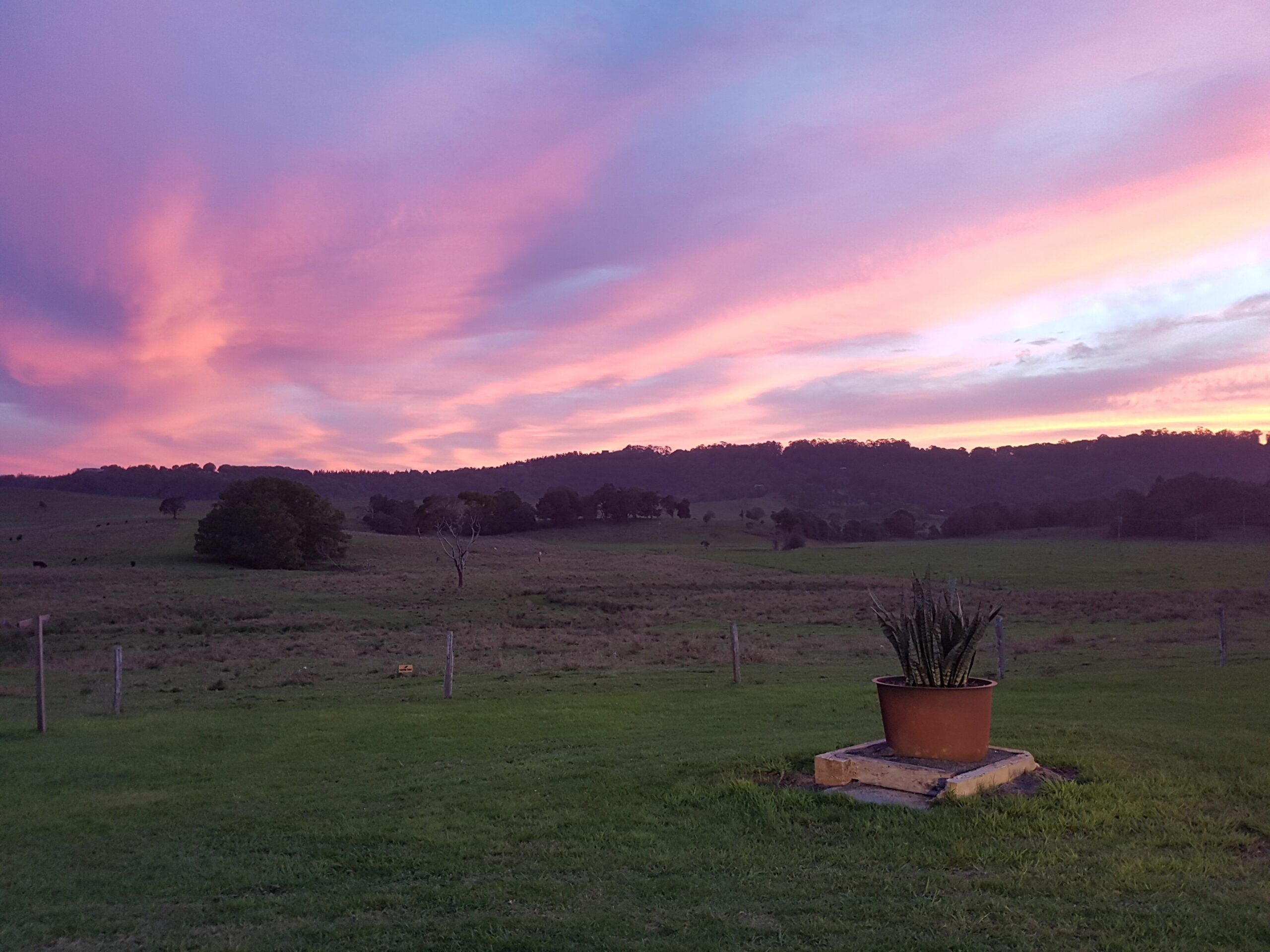 Byron Bay Hinterland-Teak Tree Farm