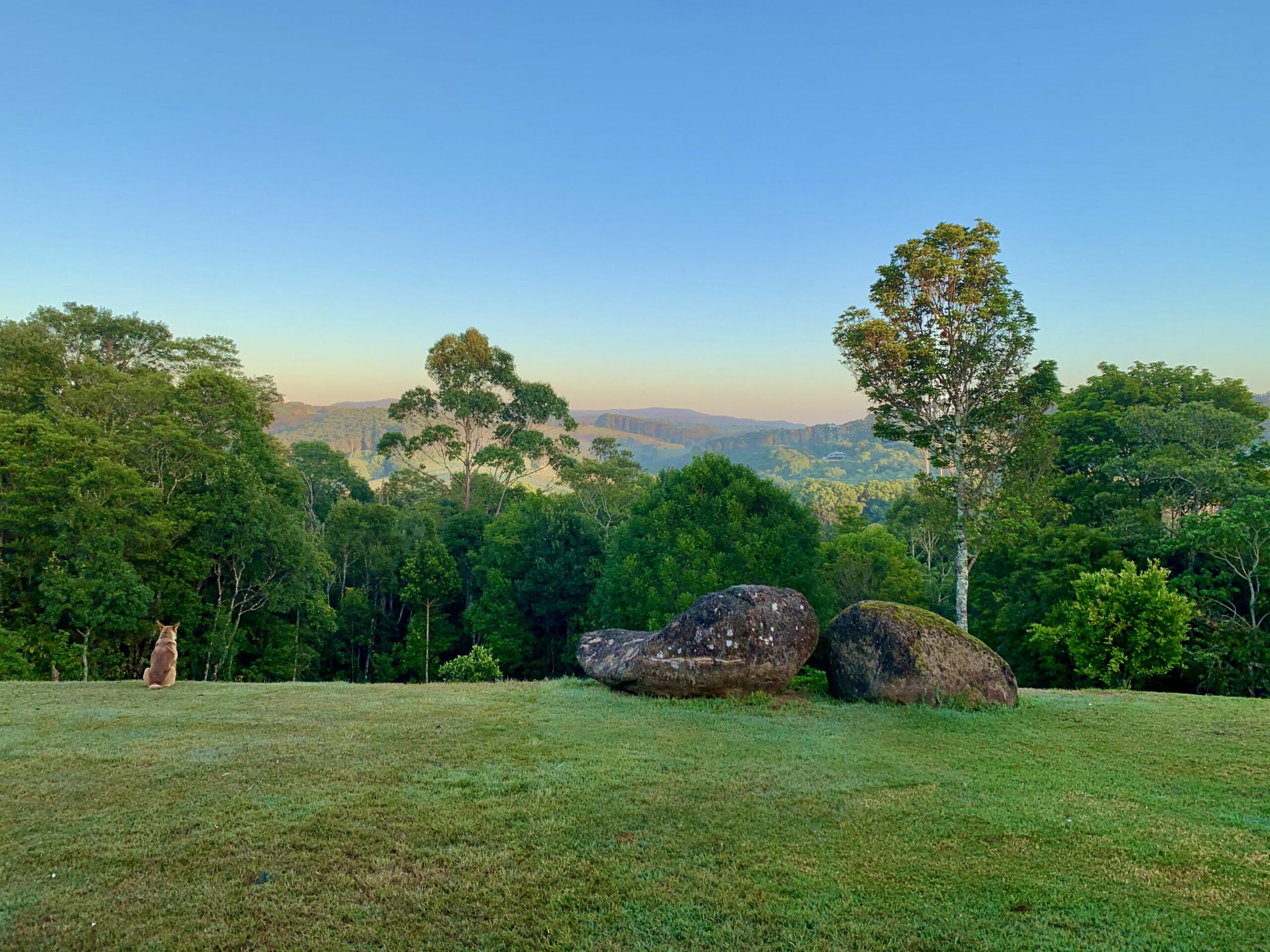 Byron Bay Hinterland Stunner - Federal Dreaming