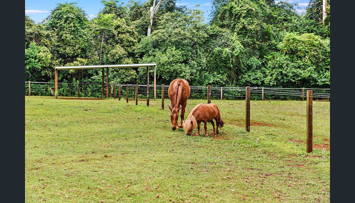 Rosella Luxury Cottage - Mount Tamborine