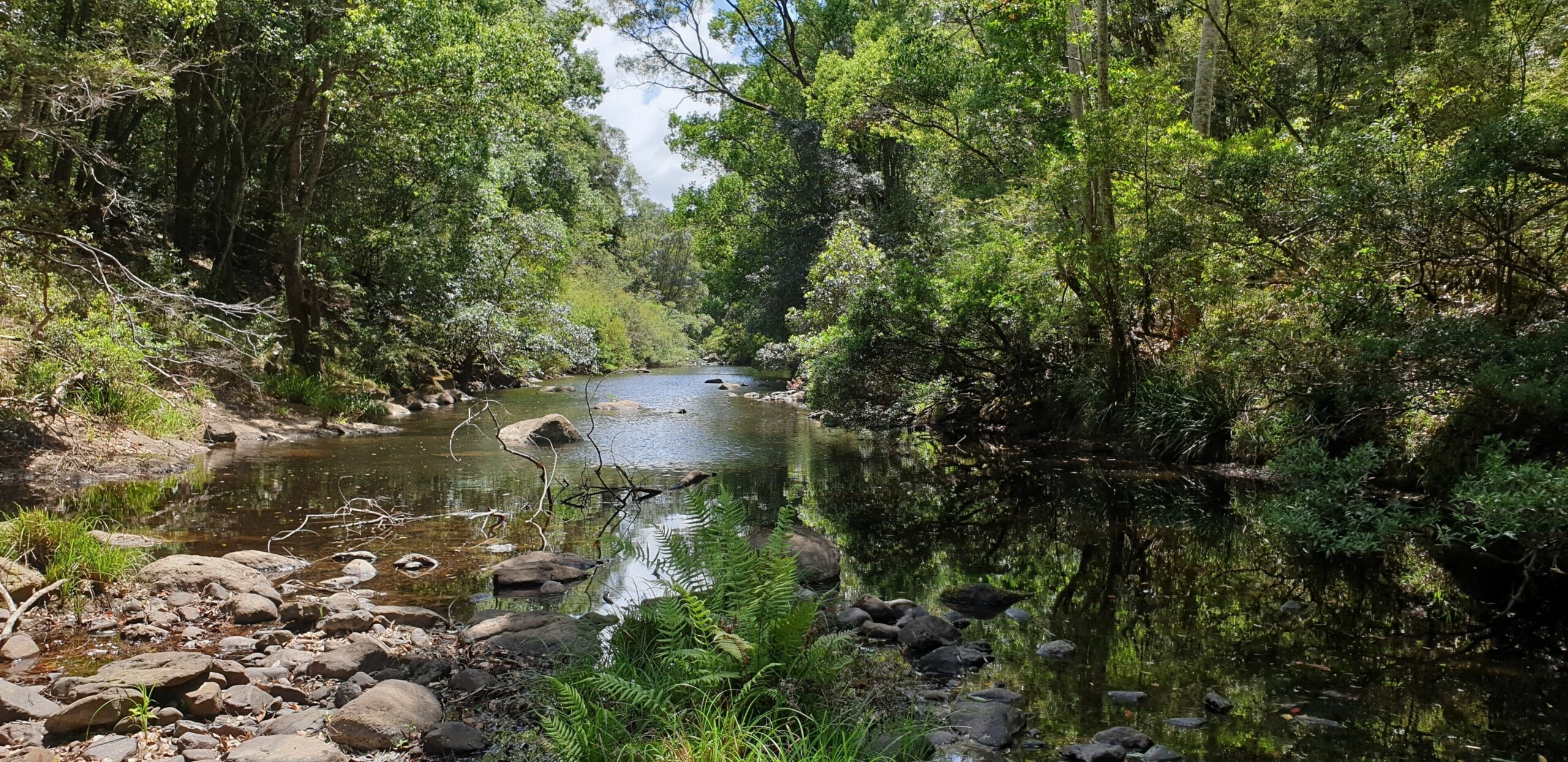 Valleydale Cottage - Byron Hinterland Escape