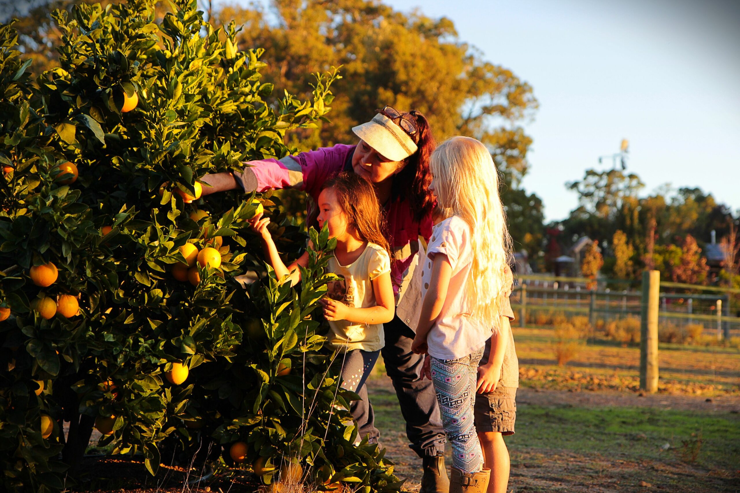 GUMLEAF COTTAGE FARMSTAY - Free daily Animal feeding - close to Perth!