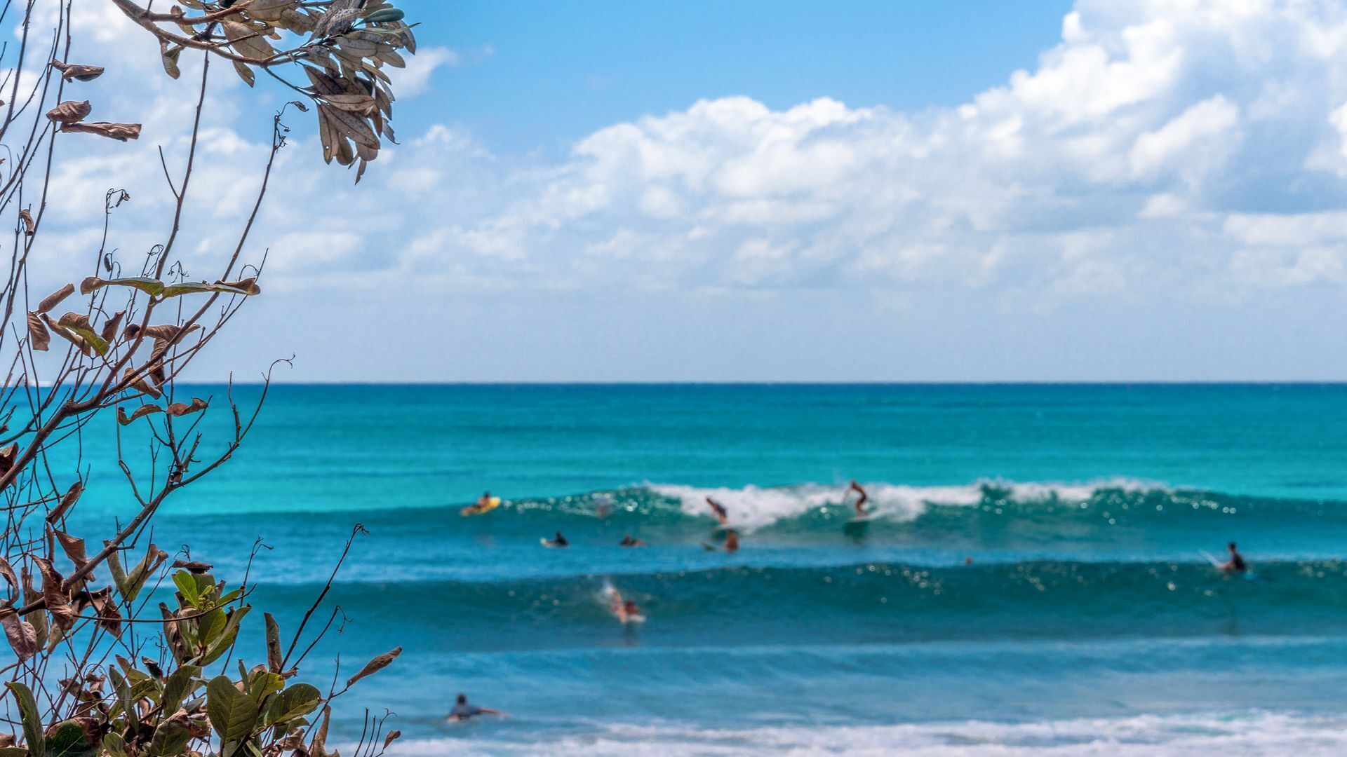 Byron Beachfront - Park the car and Walk Everywhere a Simple and Perfect Holiday!