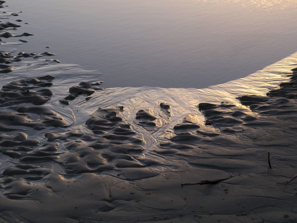 Tidelines on the Waterfront