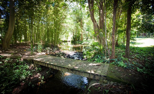 Stunning Balinese Inspired Cottage With Pool & Spa in The Byron Bay Hinterland