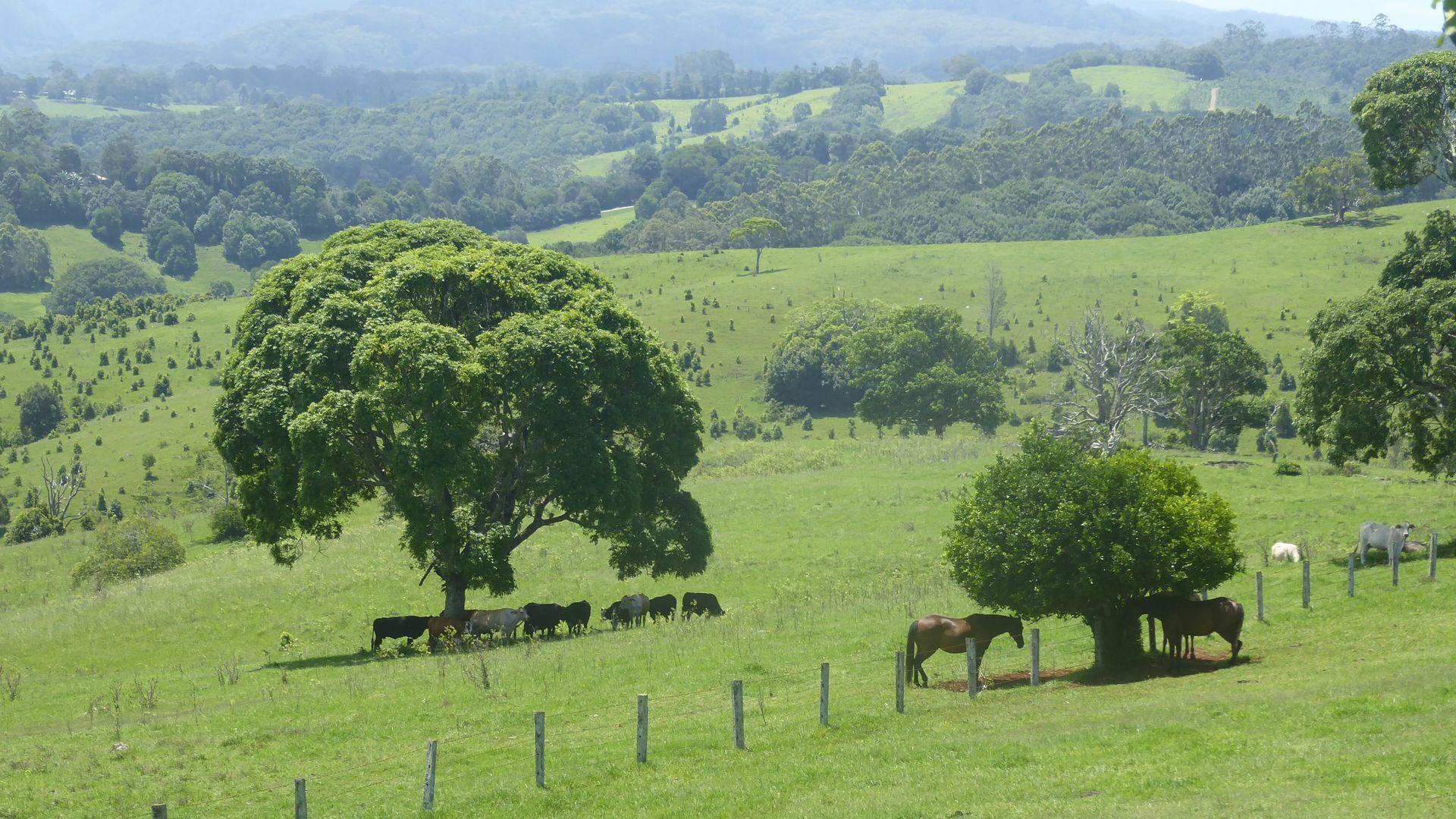 Nightcap Cottage - glorious view over farmland to hills