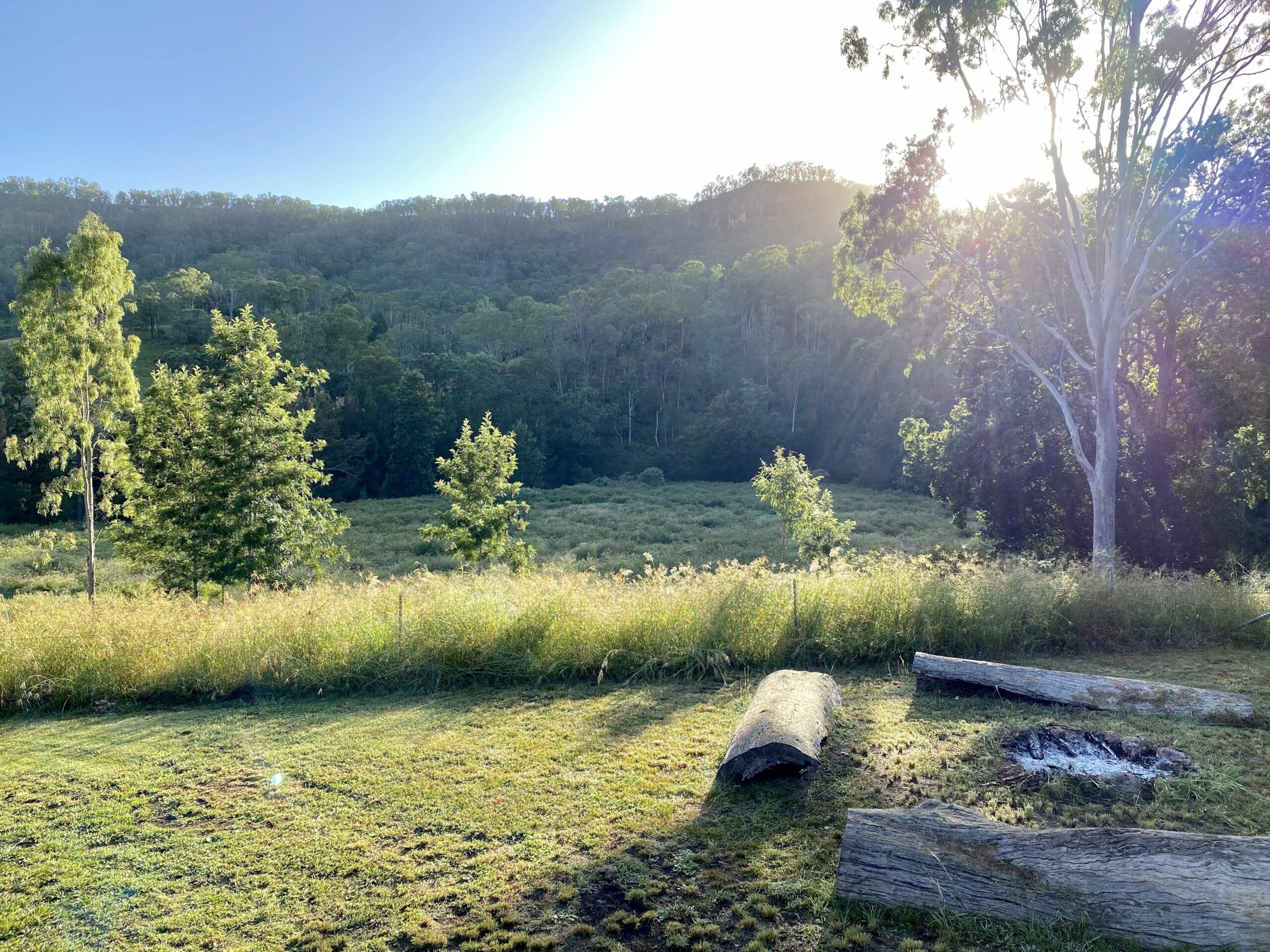 Eighteen Mile Cottage - river access with breathtaking views!