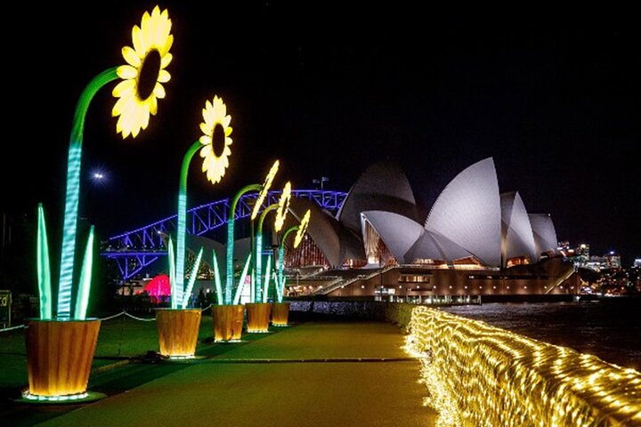 1.5 HR Vivid Sydney Harbour Cocktail Dinner Cruise