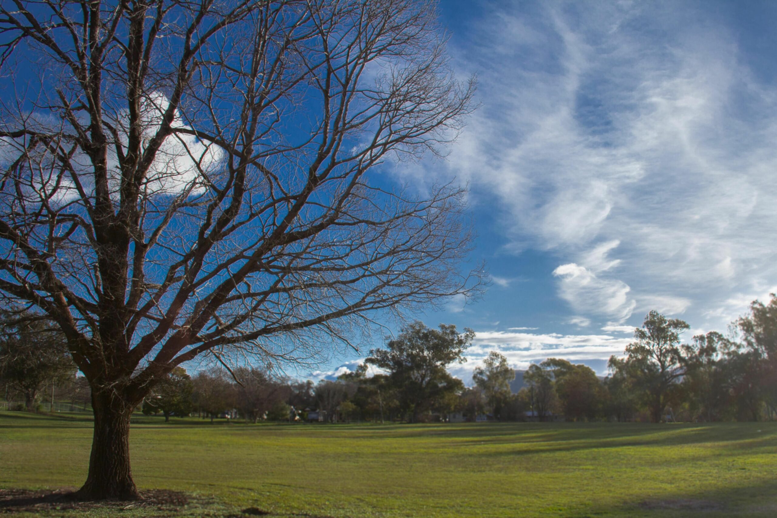 Manilla Cottage - Manilla NSW - FREE WiFi - Pet Friendly - Paragliding - Nature - Lake Keepit - Country Music