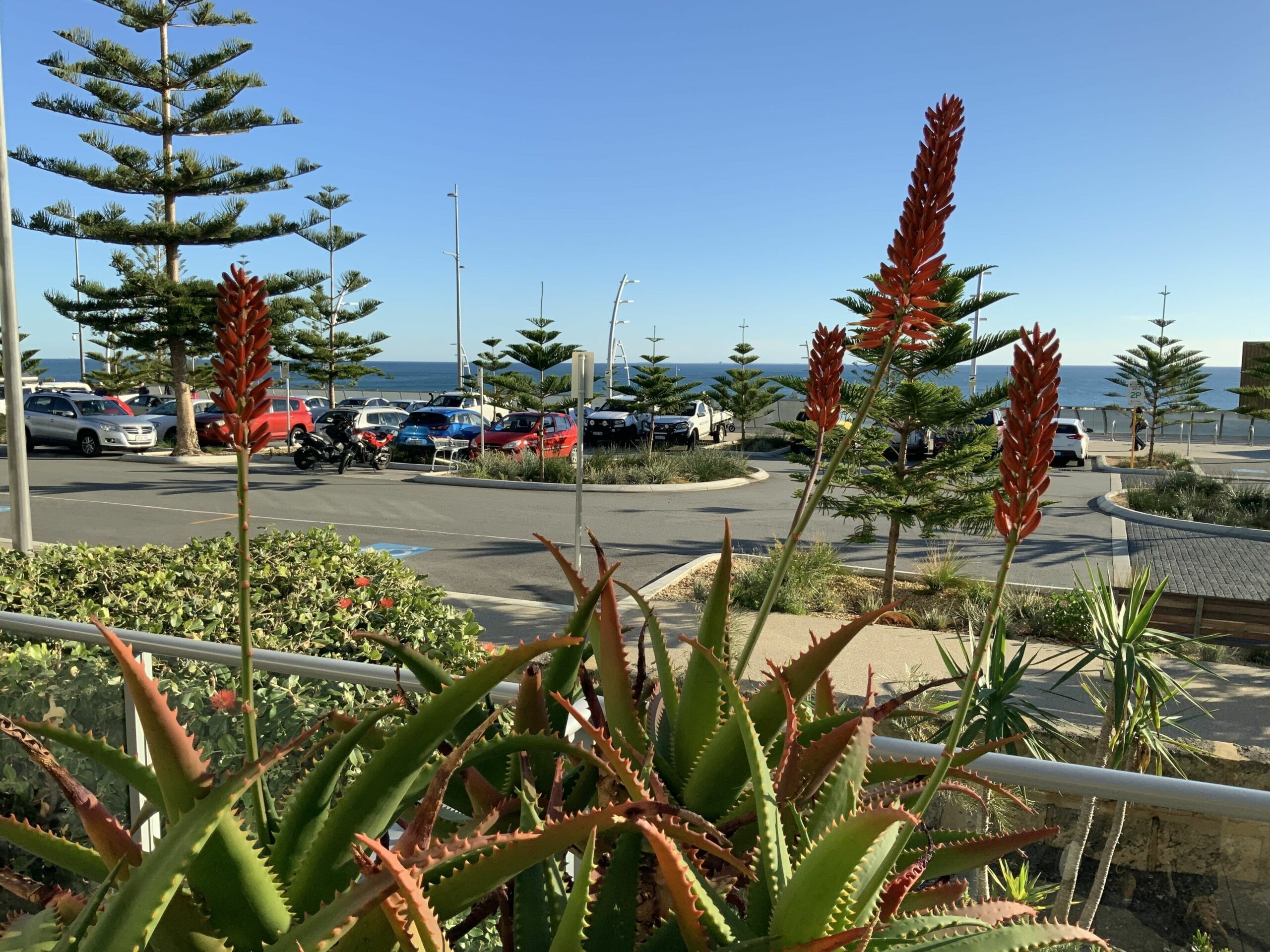 Beach Break Two - On Scarborough Beach - Sandcastles Apartments