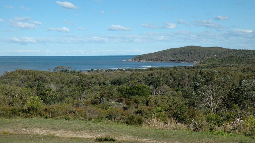 Angourie Vista - Views Over Beaches