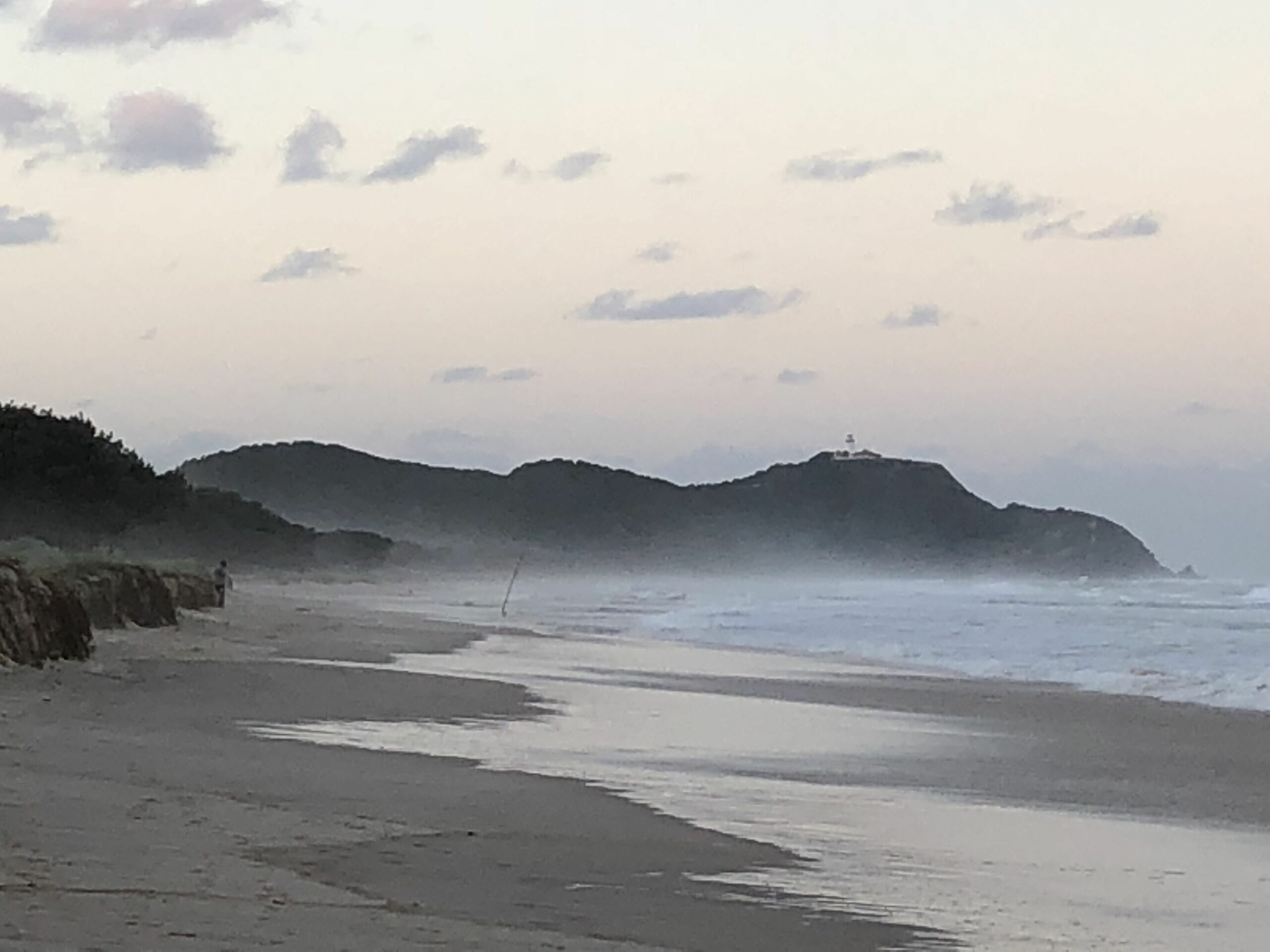 Forest Beach in Byron Bay