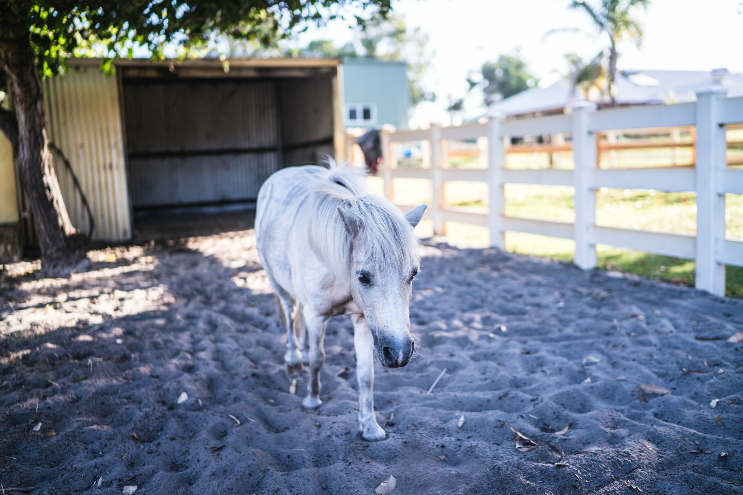 Harmony Acres Offers a Peaceful, Tranquil Getaway for Couples and Families