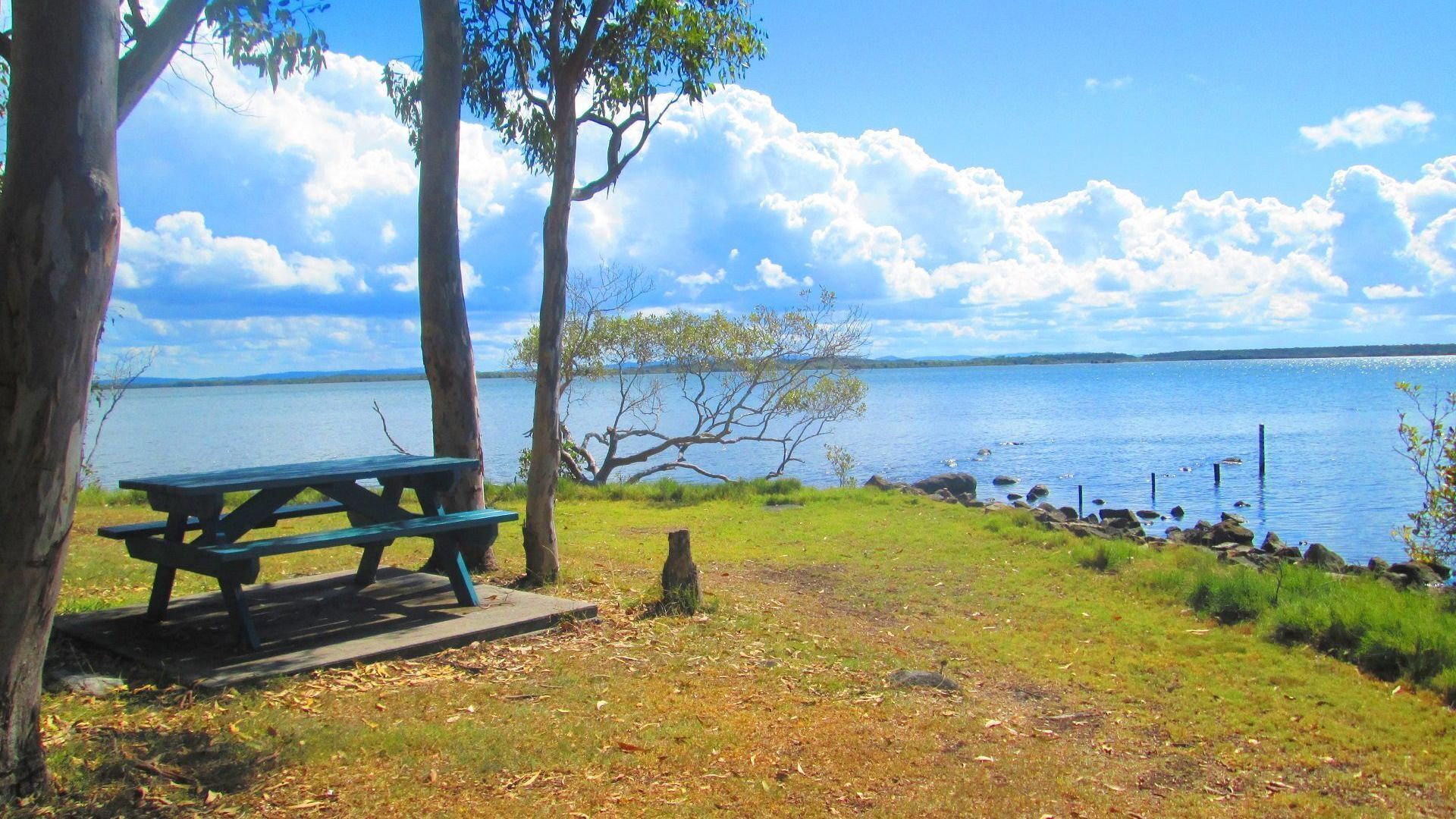 Surf Treehouse Wooloweyah