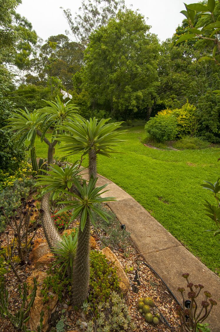 Studio in Prize Winning Garden on the Edge of The Great Dividing Range