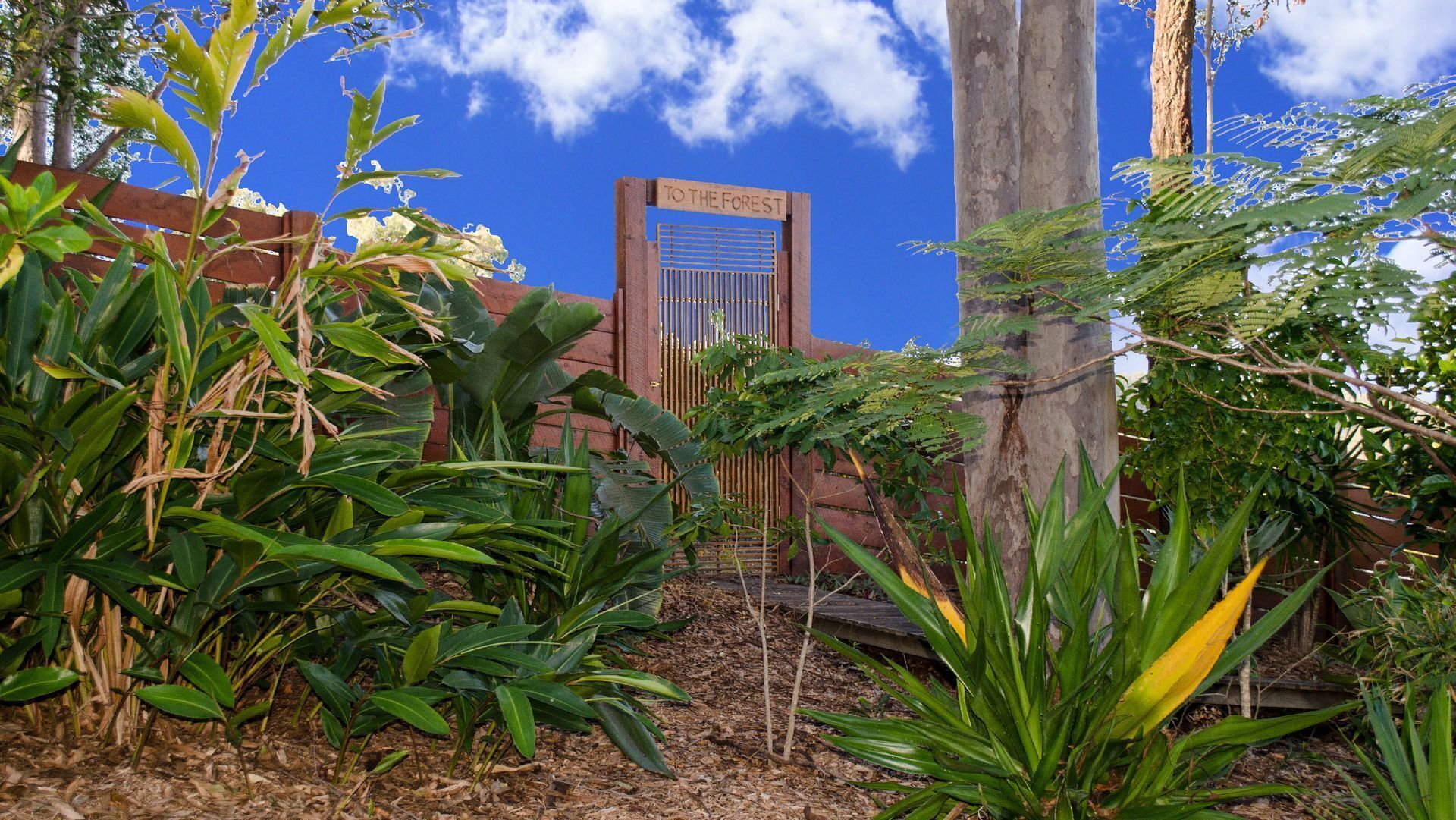 Nerang Forest Retreat