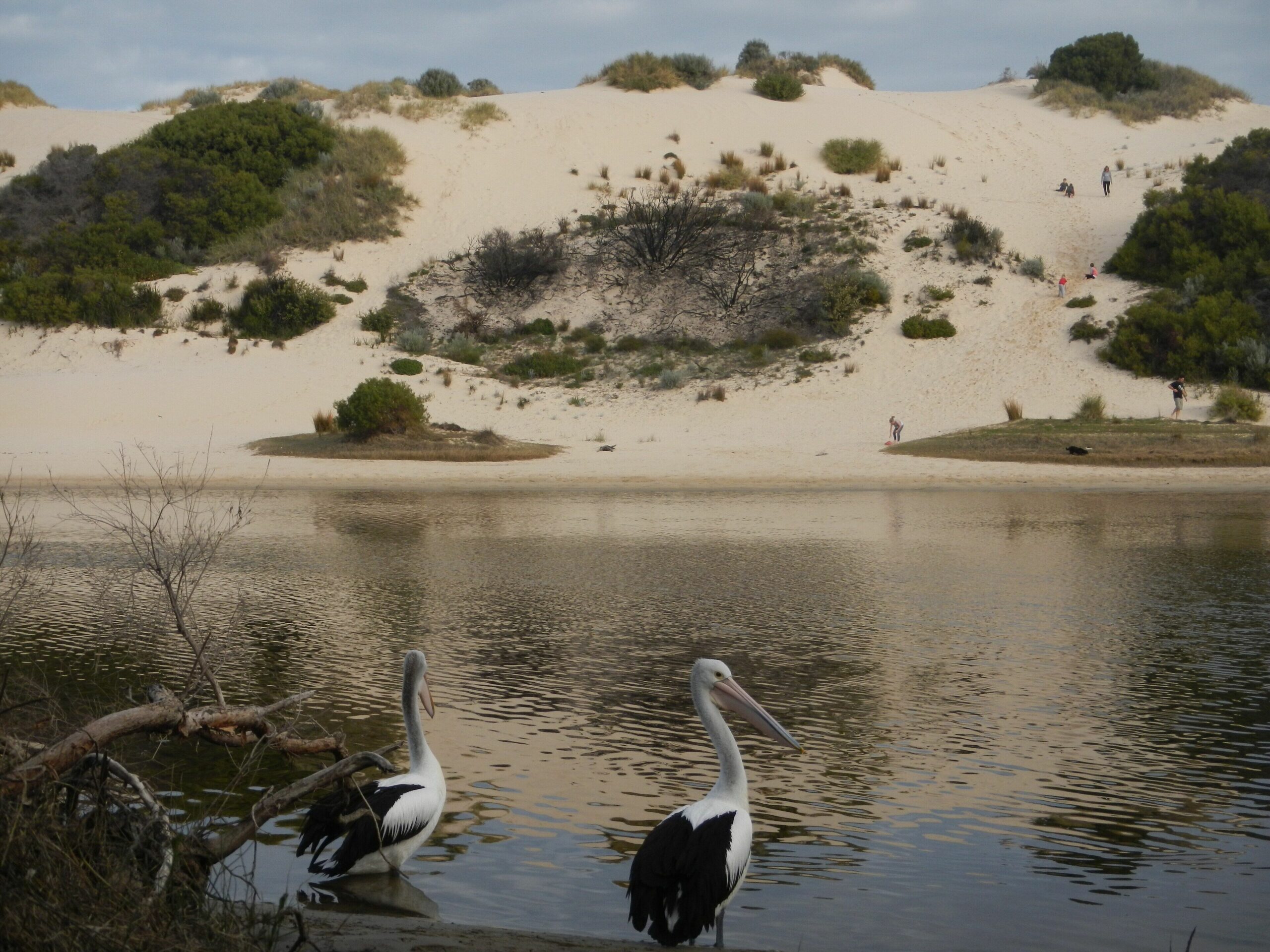 The Glass House Guilderton - The closest house to a river mouth in the WA