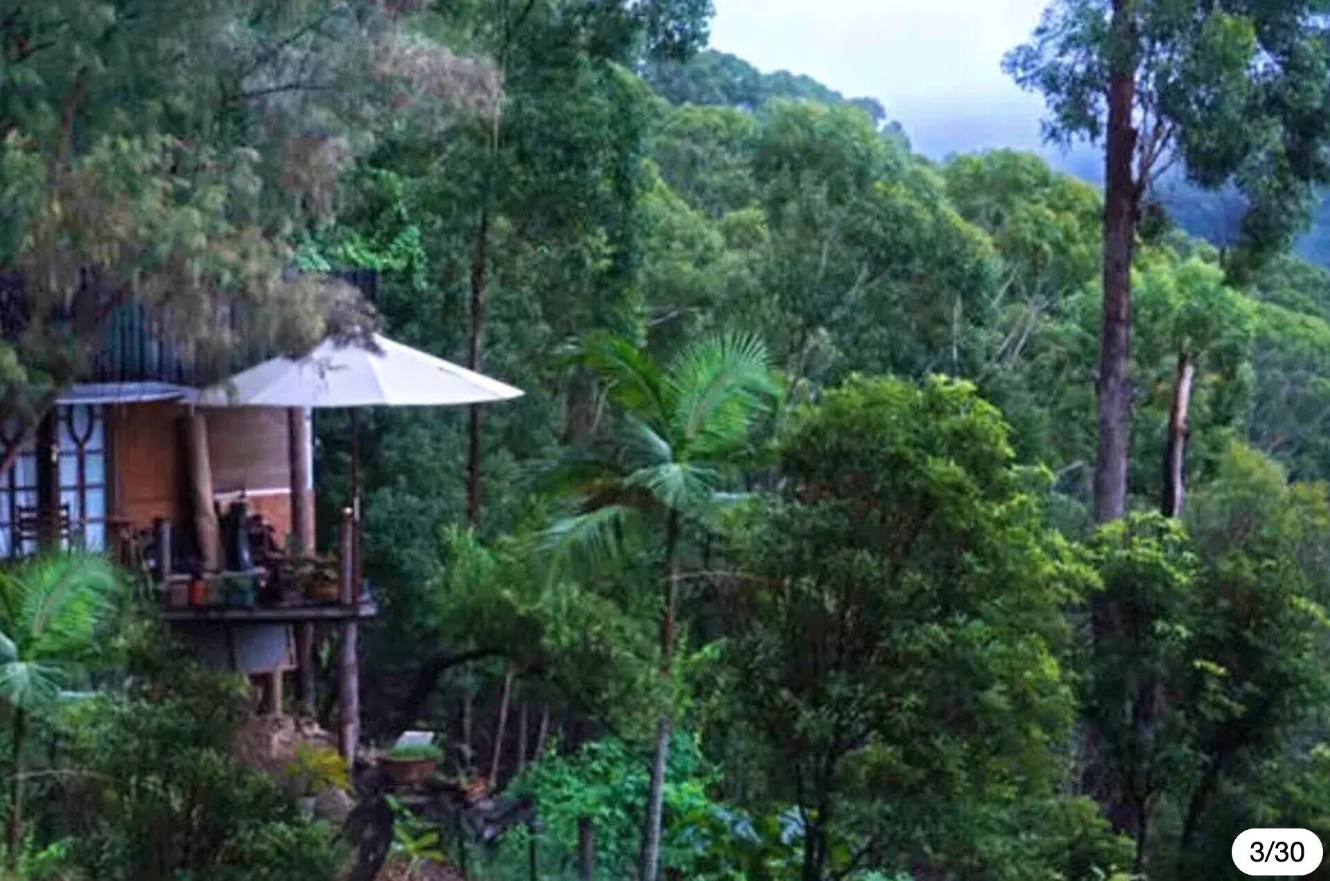 The Treepod-wake up to the Sunrise with views over valley to the Ocean