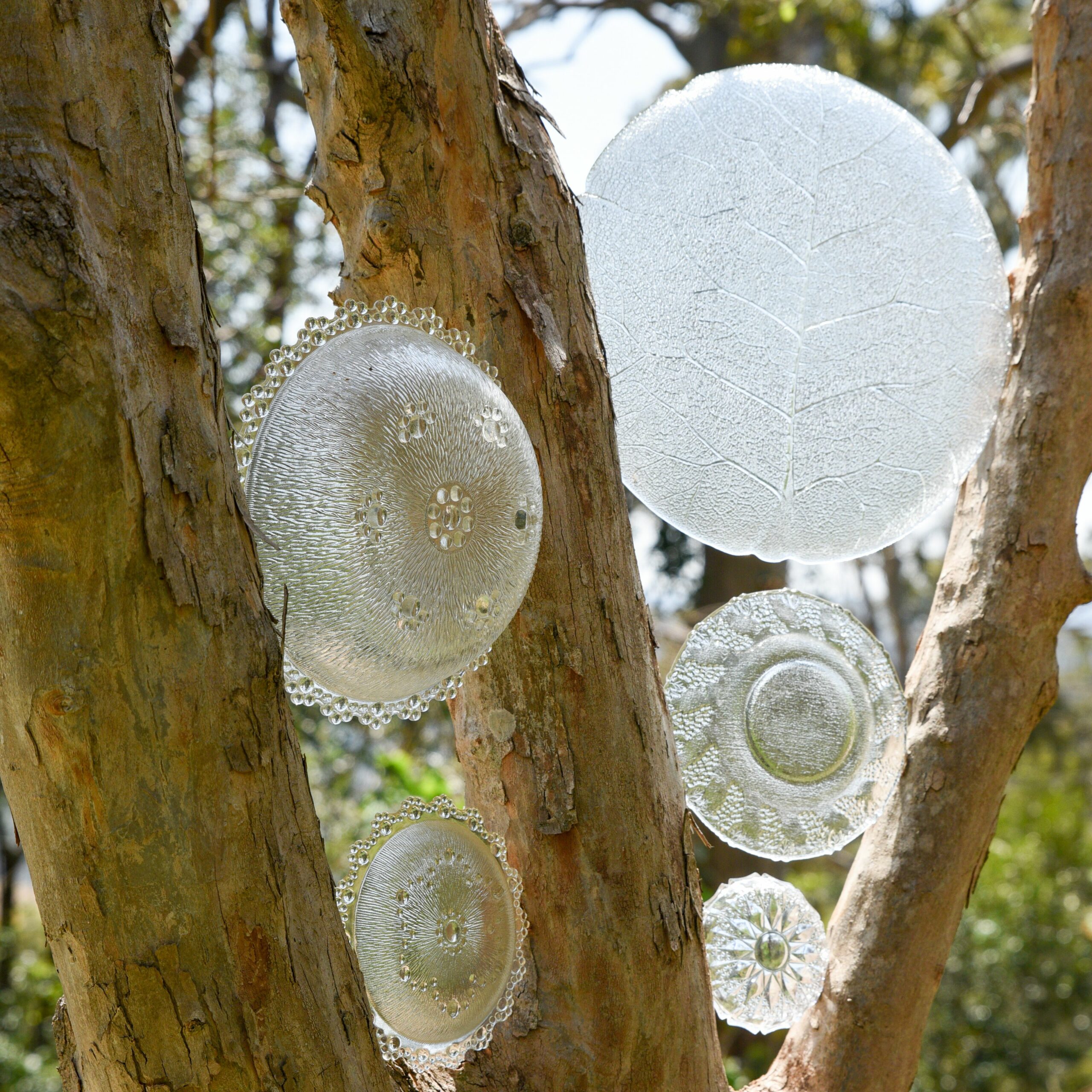 Studio in Prize Winning Garden on the Edge of The Great Dividing Range