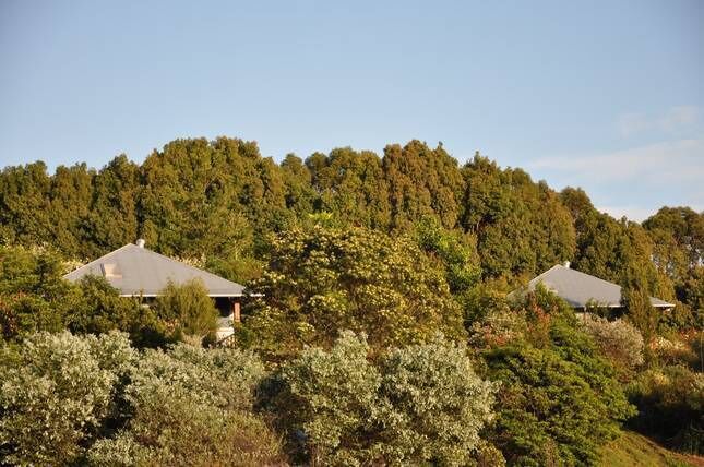 Tallaringa Views - Located at Byron Bay Hinterland