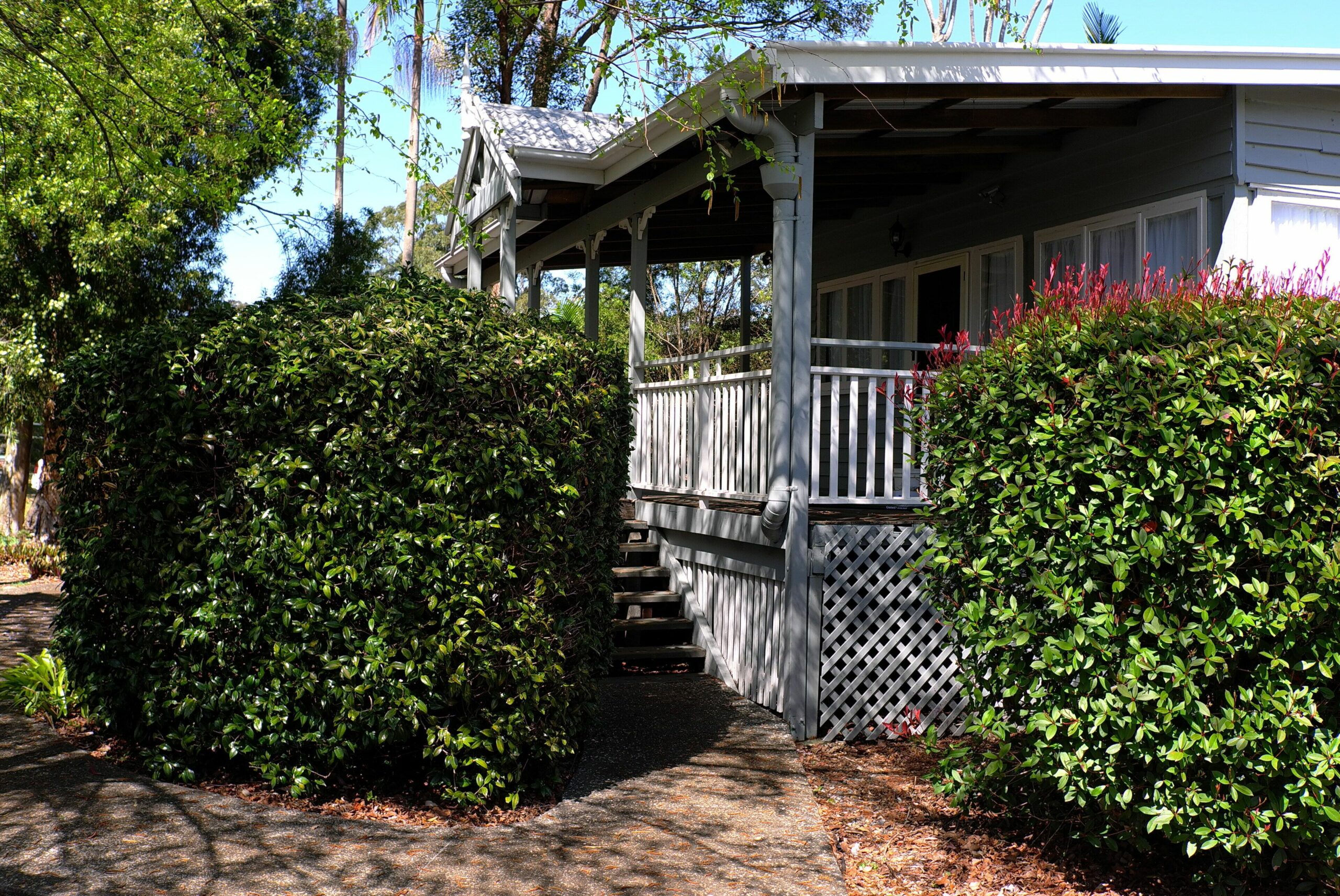 Wisteria Cottage in the heart of Mount Tamborine - dog and cat friendly