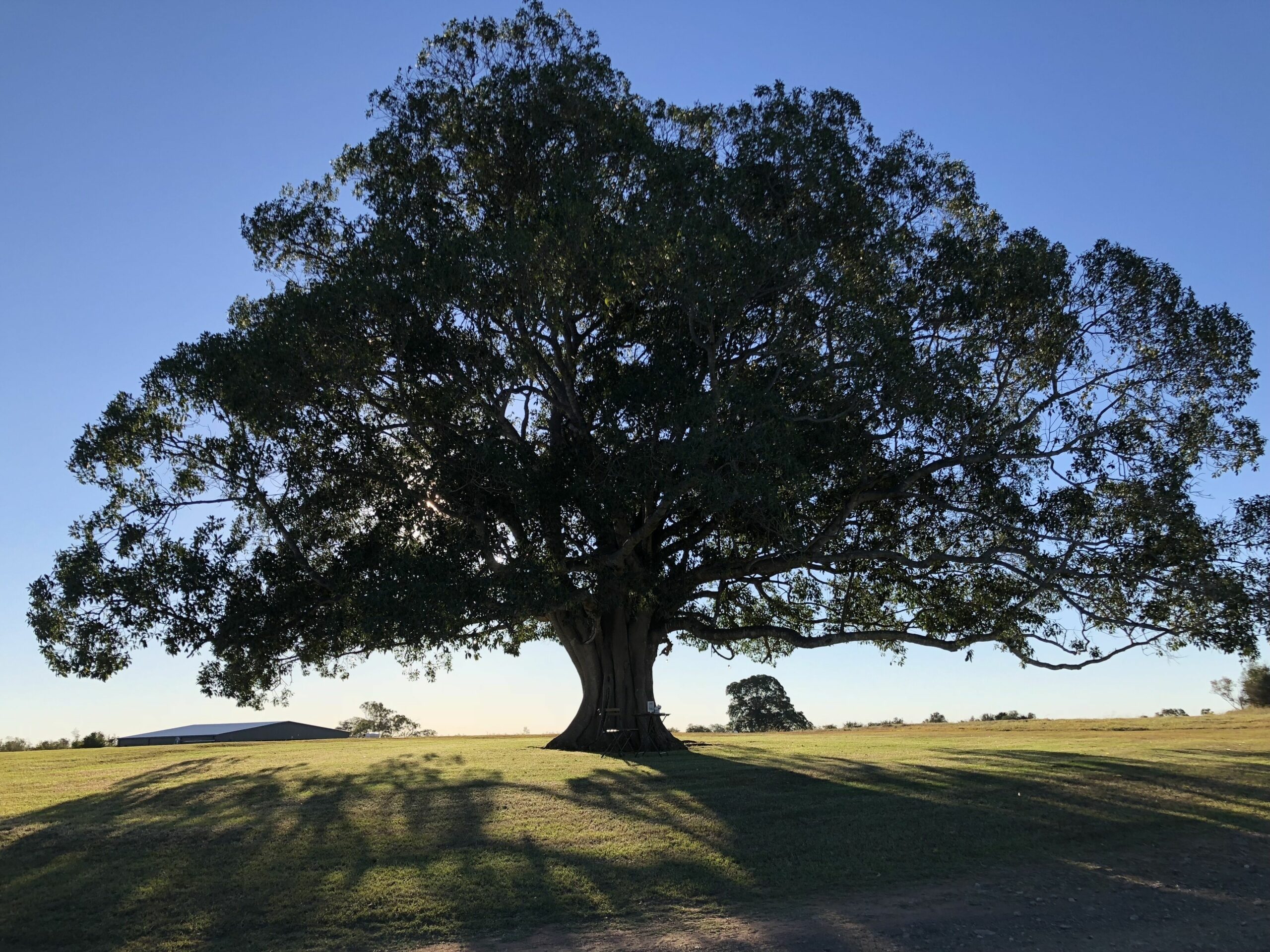 Figtree Country Retreat