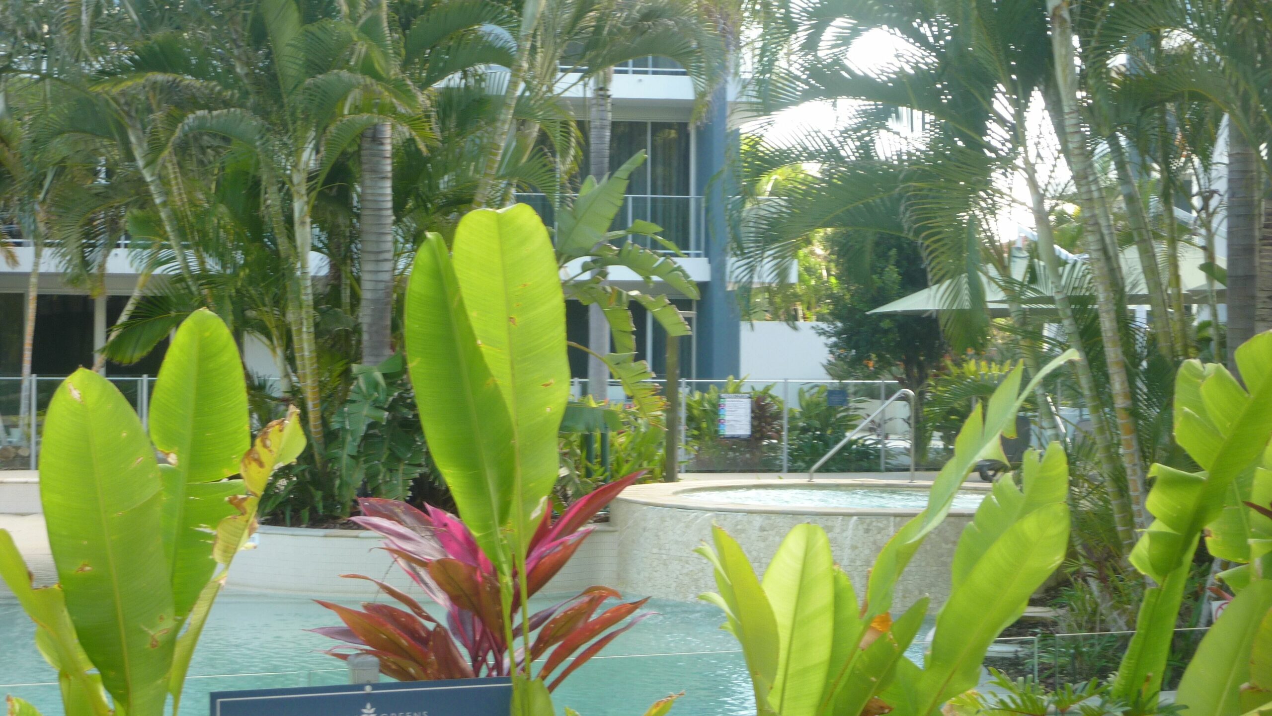 Entire 2BR Apartment - Azzura Greens Hope Island - Fully Furnished