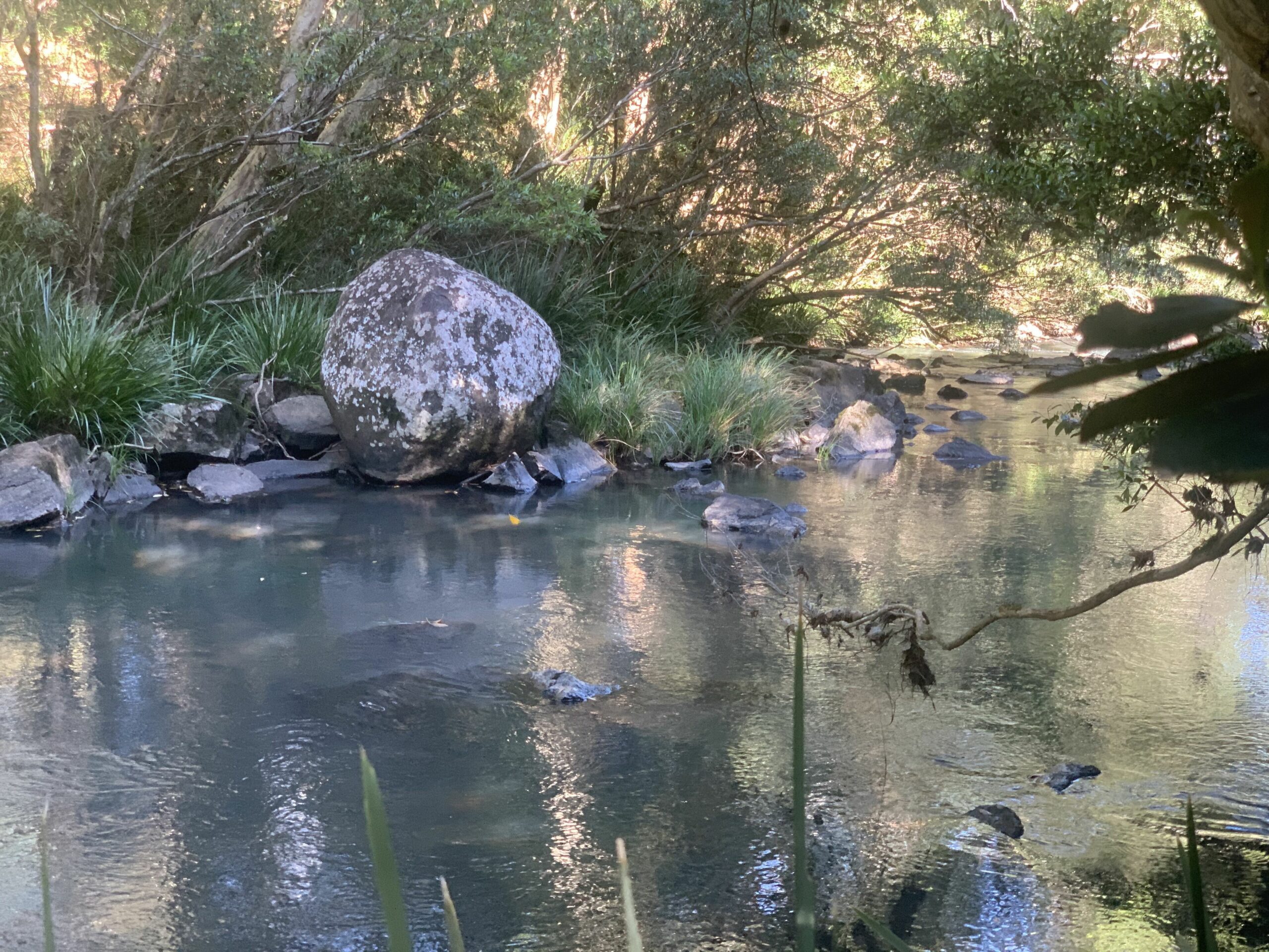 Byron Bay Hinterland Stunner - Federal Dreaming