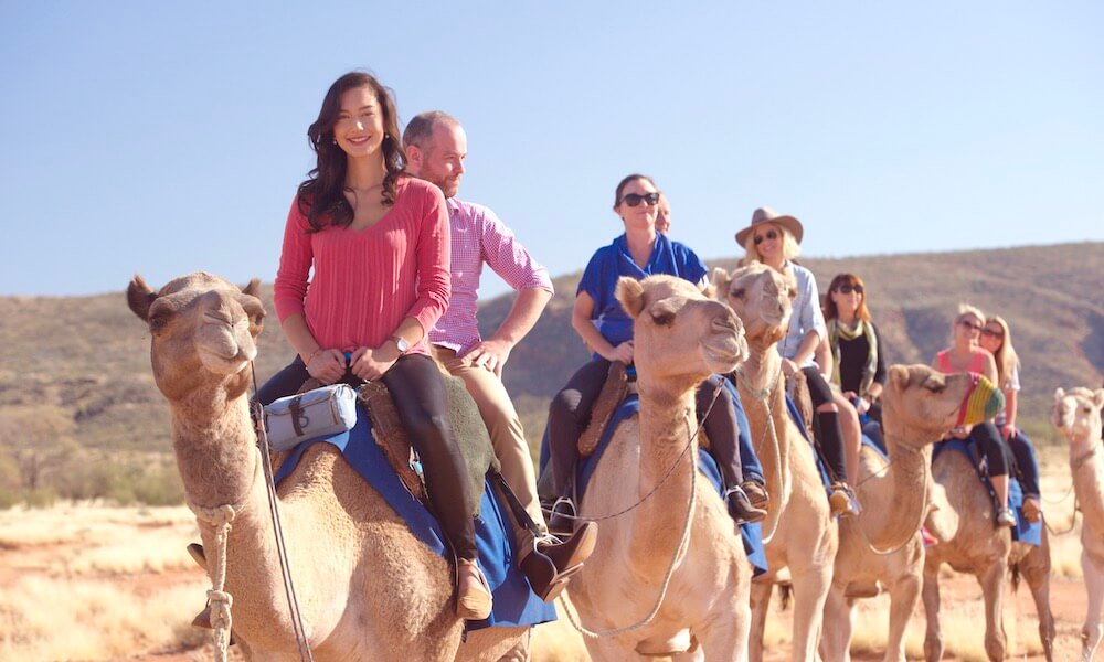 Alice Springs Afternoon Camel Ride