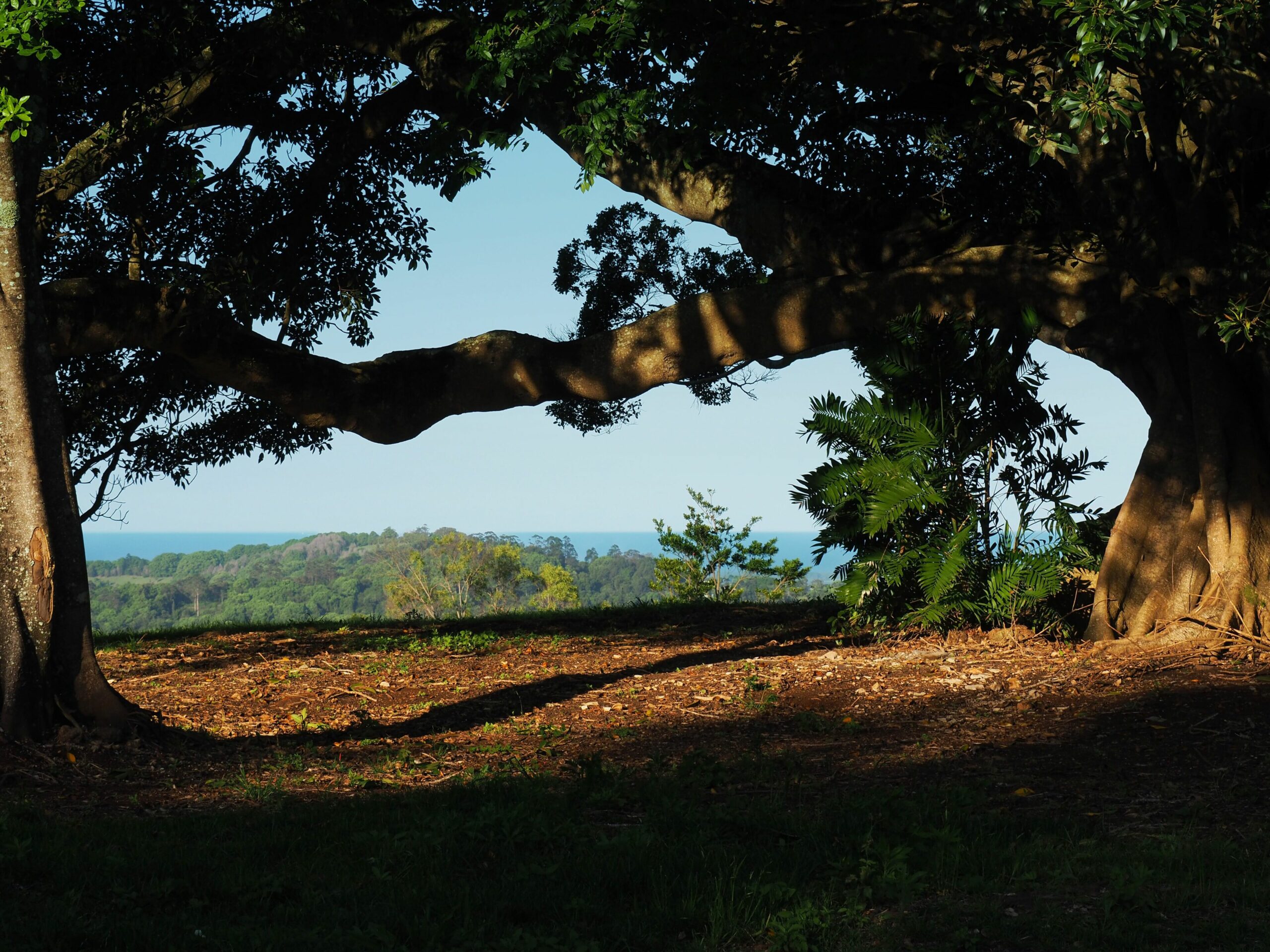 Luxury Byron Bay Hinterland Retreat