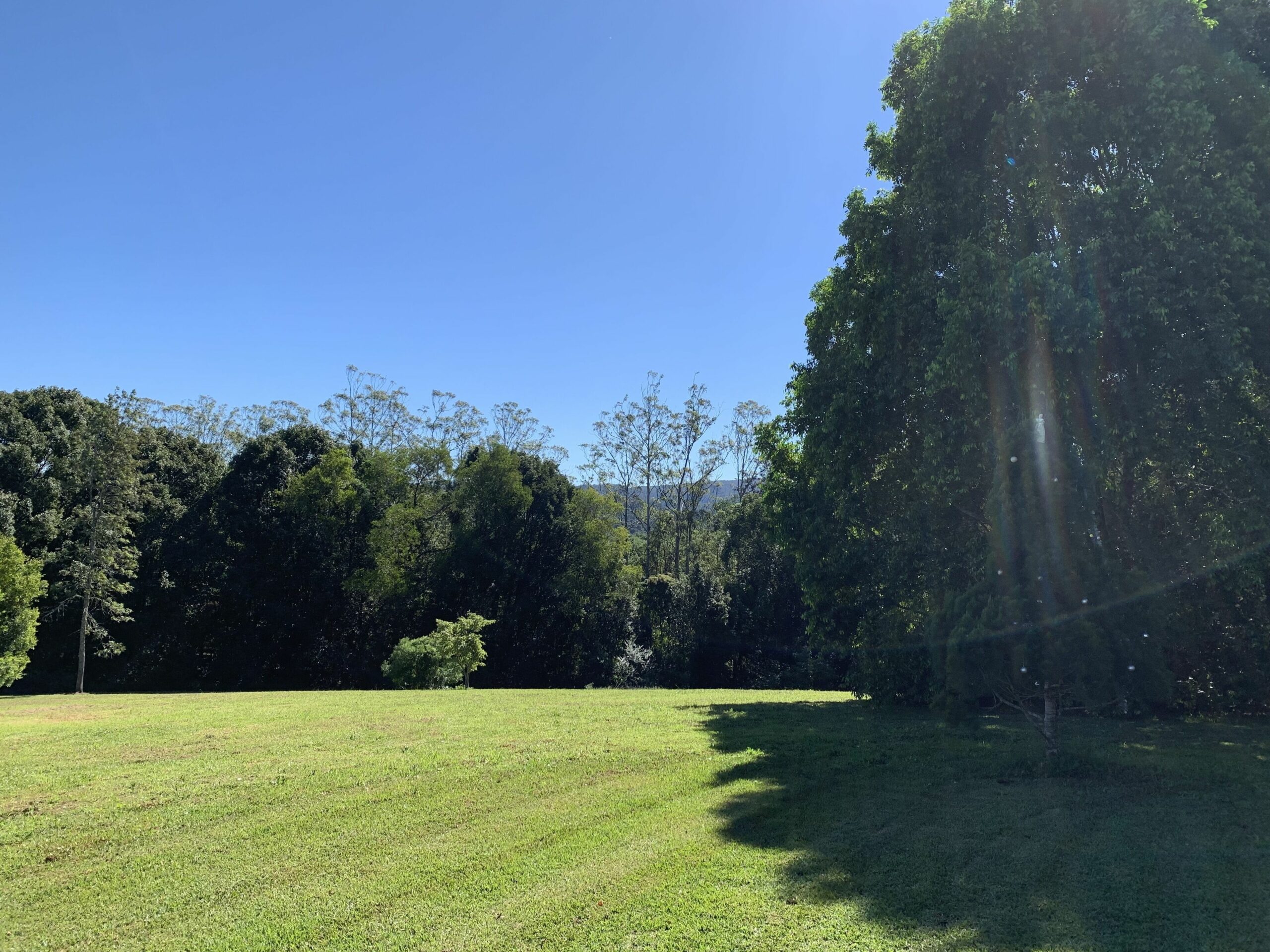 Nightcap Park, Beautiful Byron Bay Hinterland