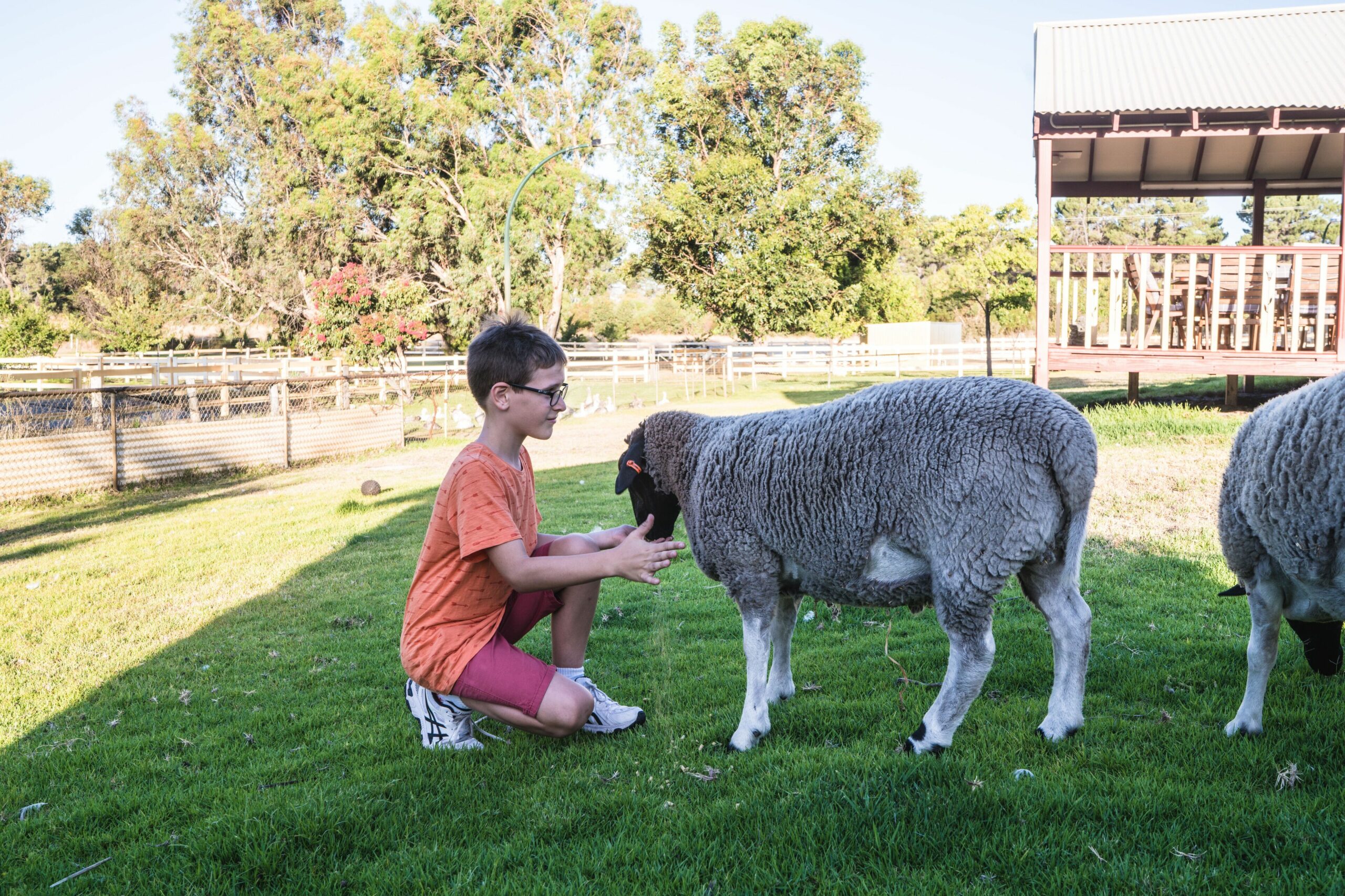 Harmony Acres Offers a Peaceful, Tranquil Getaway for Couples and Families