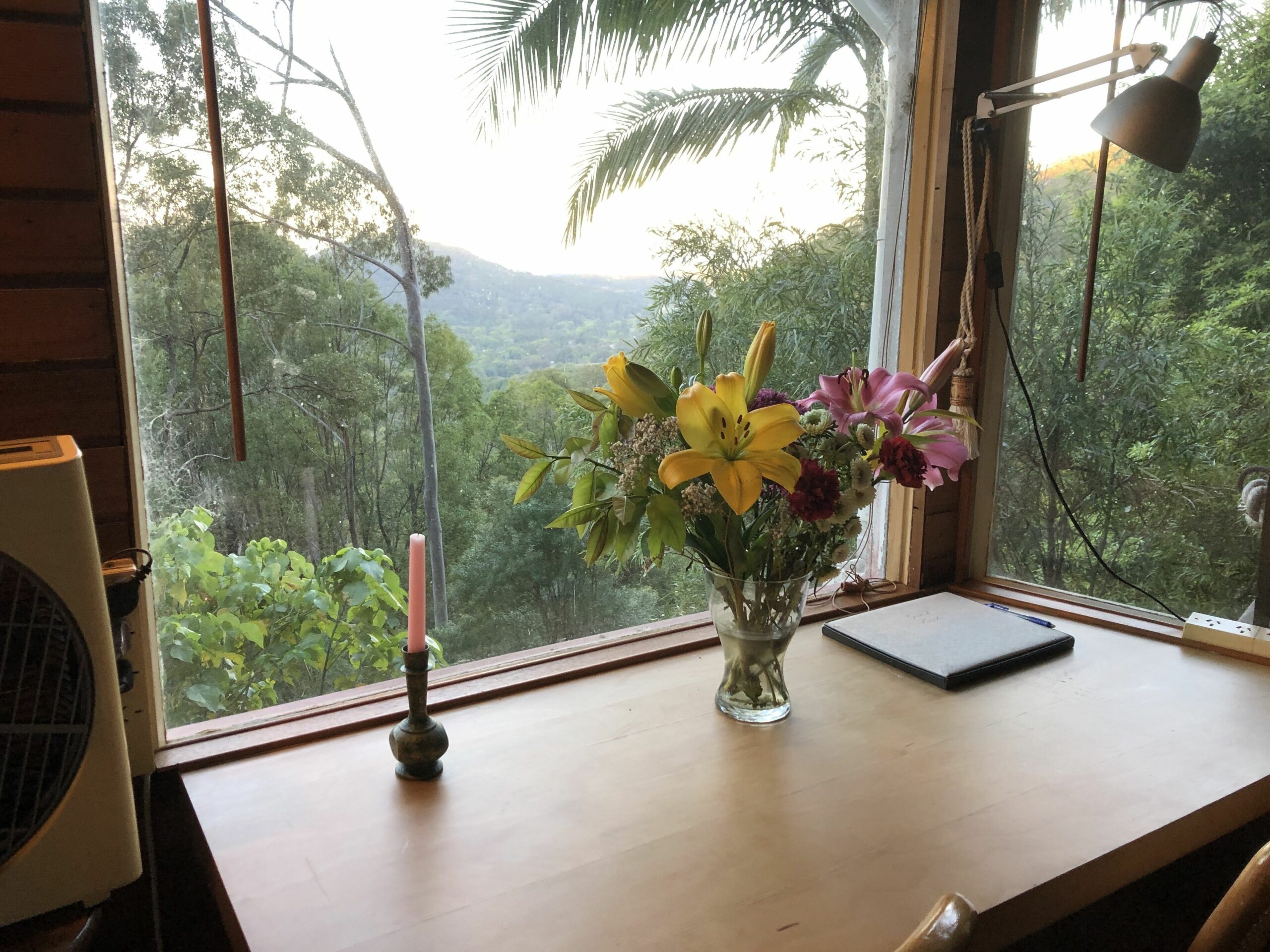 The Treepod-wake up to the Sunrise with views over valley to the Ocean