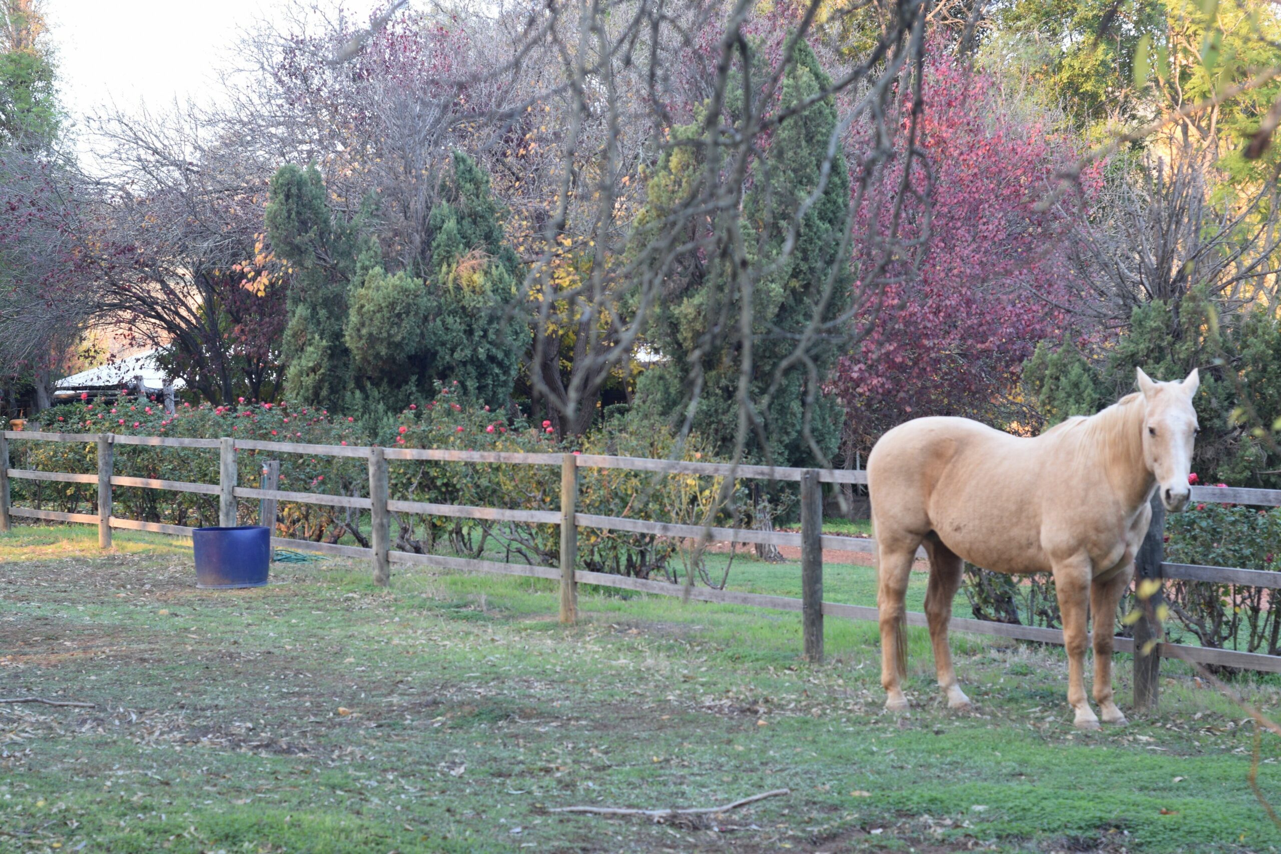 French Provincial home on private vineyard- Luxury farm stay in Chittering