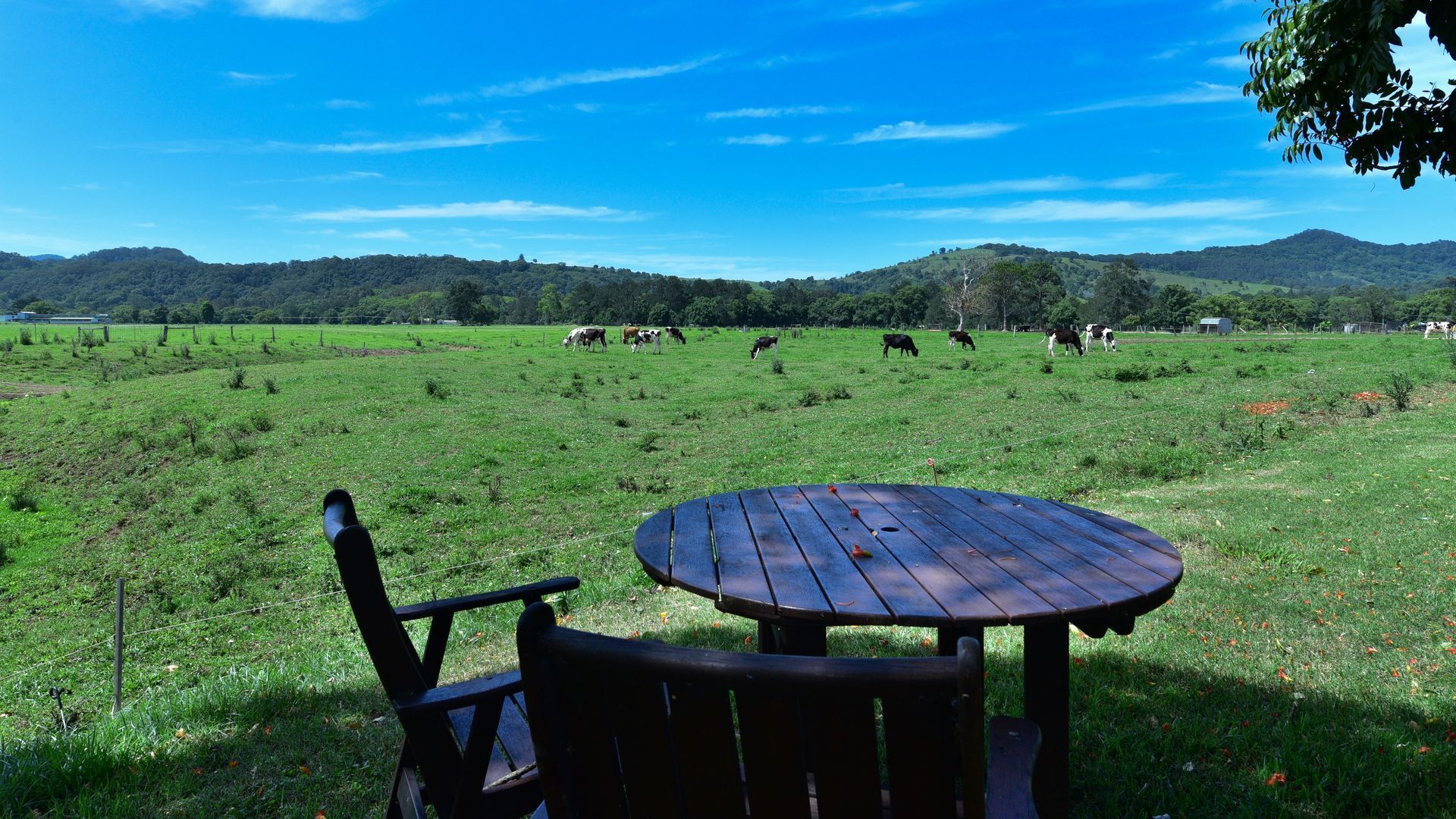 Mullumbimby Rural Escape  - Harry's Place