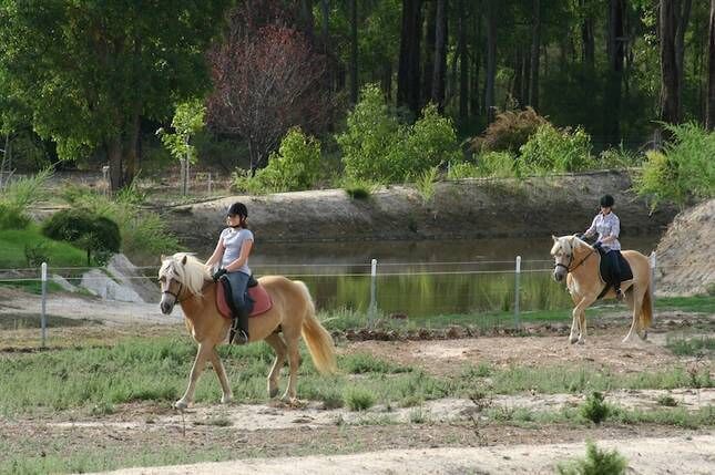 GUMLEAF COTTAGE FARMSTAY - Free daily Animal feeding - close to Perth!